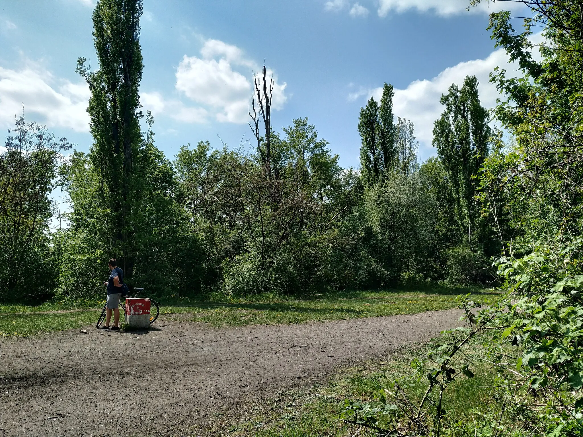 Photo showing: Pappelplateau im Volkspark Prenzlauer Berg