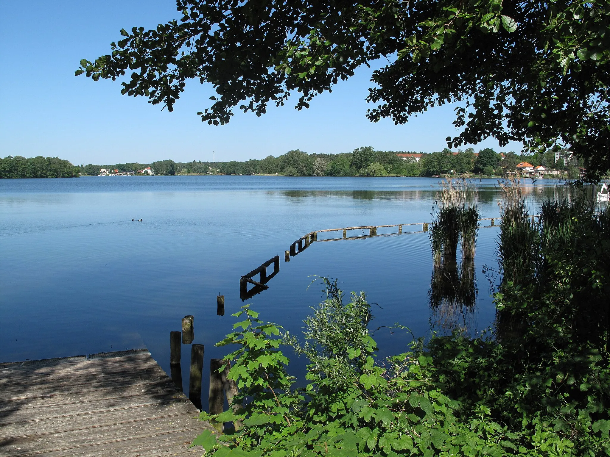 Photo showing: View from the on the east bank of the Werlsee to the island Lindwall. The Werlsee is a lake in Fangschleuse and Grünheide, parts of the municipality Grünheide, District Oder-Spree, Brandenburg, Germany. The lake covers 60 hectare.