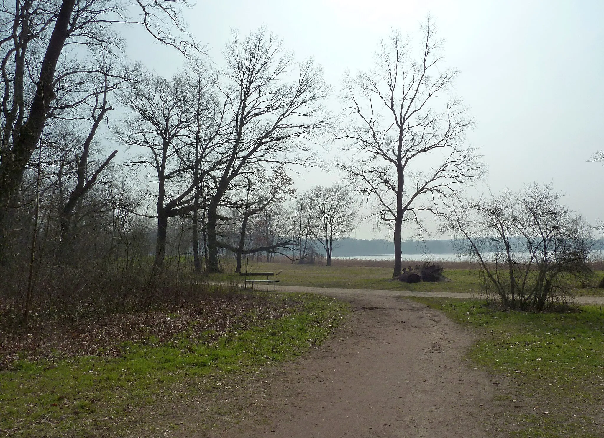 Photo showing: Blick vom Park Sacrow in Richtung Potsdam