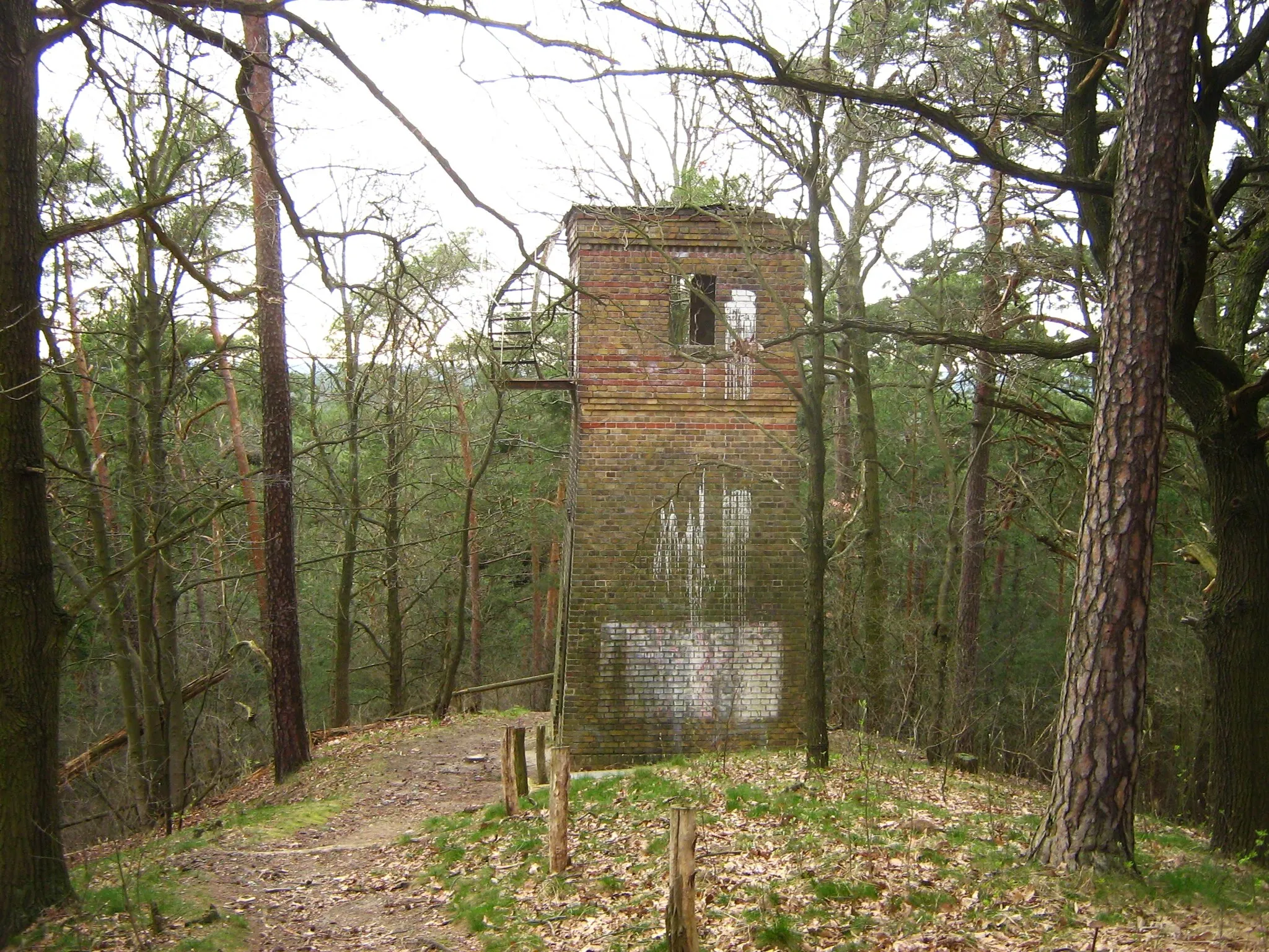 Photo showing: Ruine des Mirenhauses Süd leicht unterhalb des Kleinen Ravensberges südlich von Potsdam. Die Funktion der Mirenhäuser ist im Artikel Helmertturm erklärt.