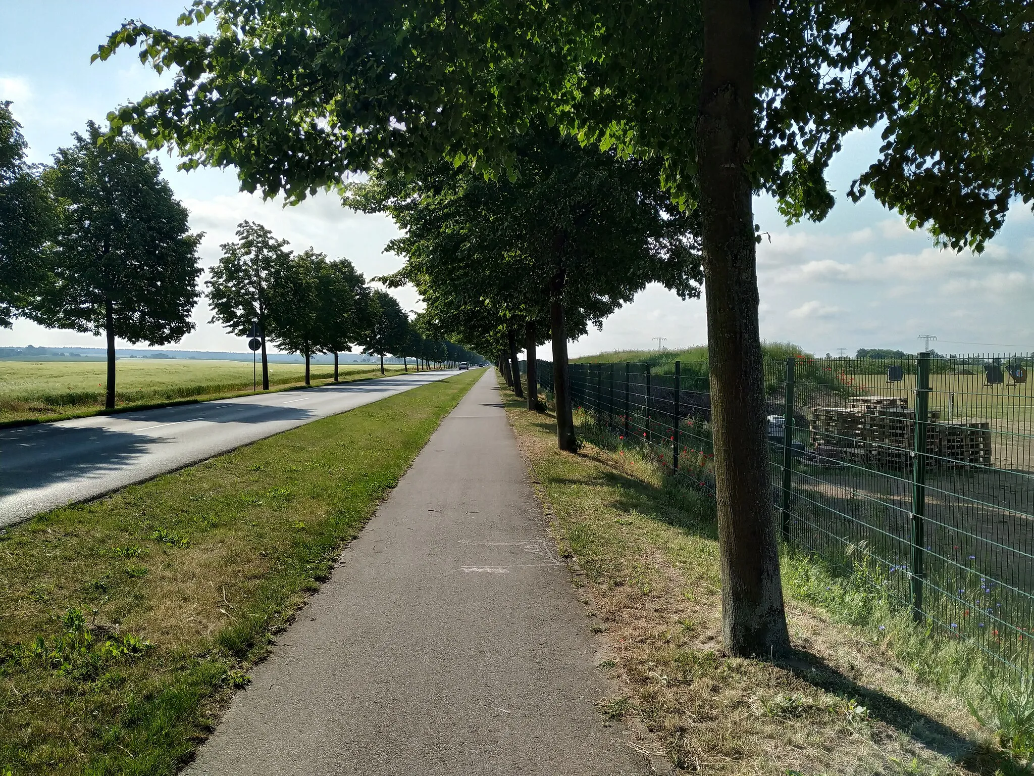 Photo showing: Ahrensfelder Straße in Barnim (Brandenburg) mit Fahrradweg, Blick nach Südosten. Die Straße beginnt in Lindenberg (Ahrensfelde) im Westen und geht im Osten fließend in die Lindenberger Straße über.