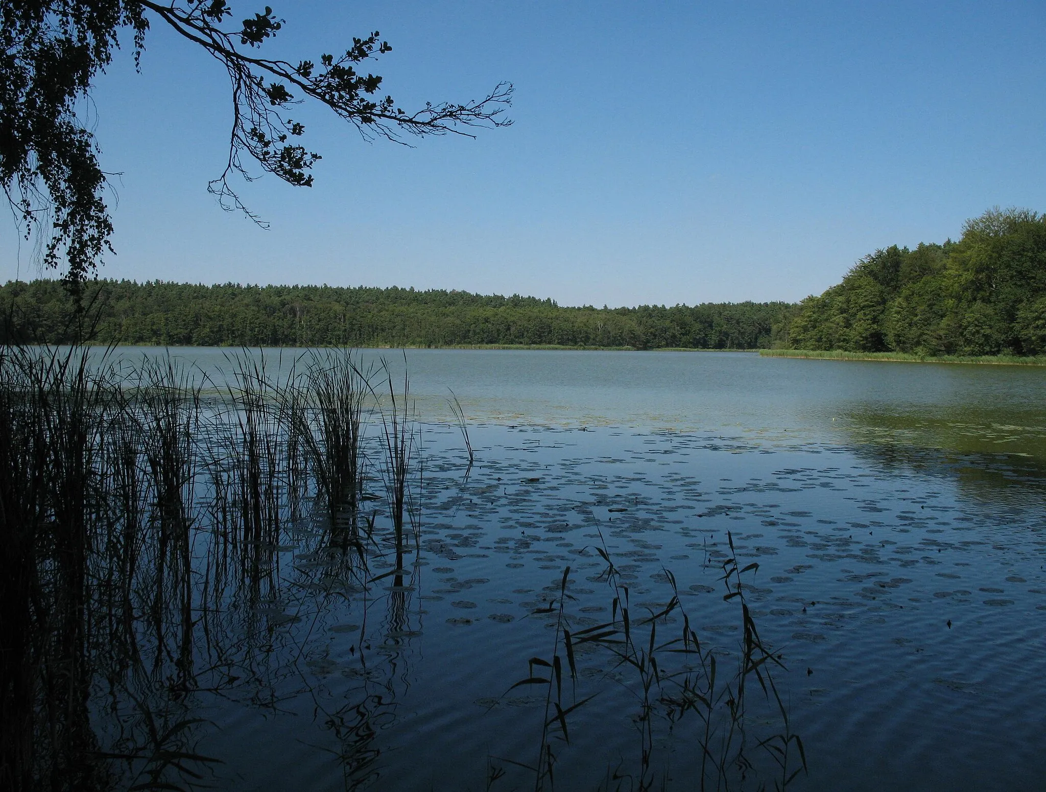Photo showing: Lake "Mühlenbecker See" in Mühlenbecker Land in Brandenburg, Germany