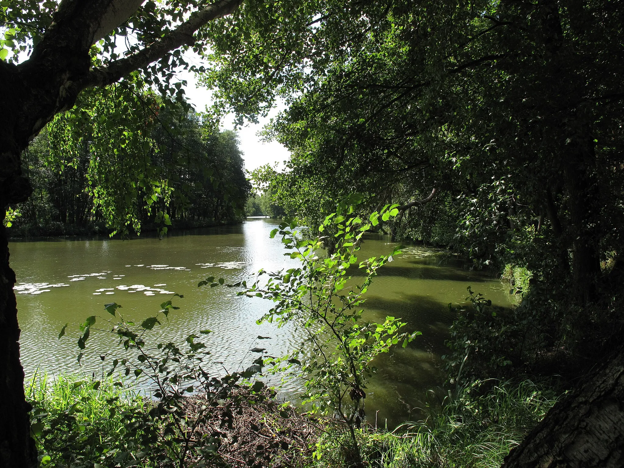 Photo showing: Storkower Kanal in the Naturschutzgebiet Storkower Kanal. The „Naturschutzgebiet Storkower Kanal “ is a Naturschutzgebiet (protected area) and Natura 2000-area in the districts Oder-Spree and Dahme-Spreewald in Brandenburg, Germany. The area covers about 97 hectare and is situated in the Dahme-Heideseen Nature Park. It is nestled along the „Stahnsdorfer Fließ“ (little stream) and along the west part of the eponymous Storkower Kanal (water canal).