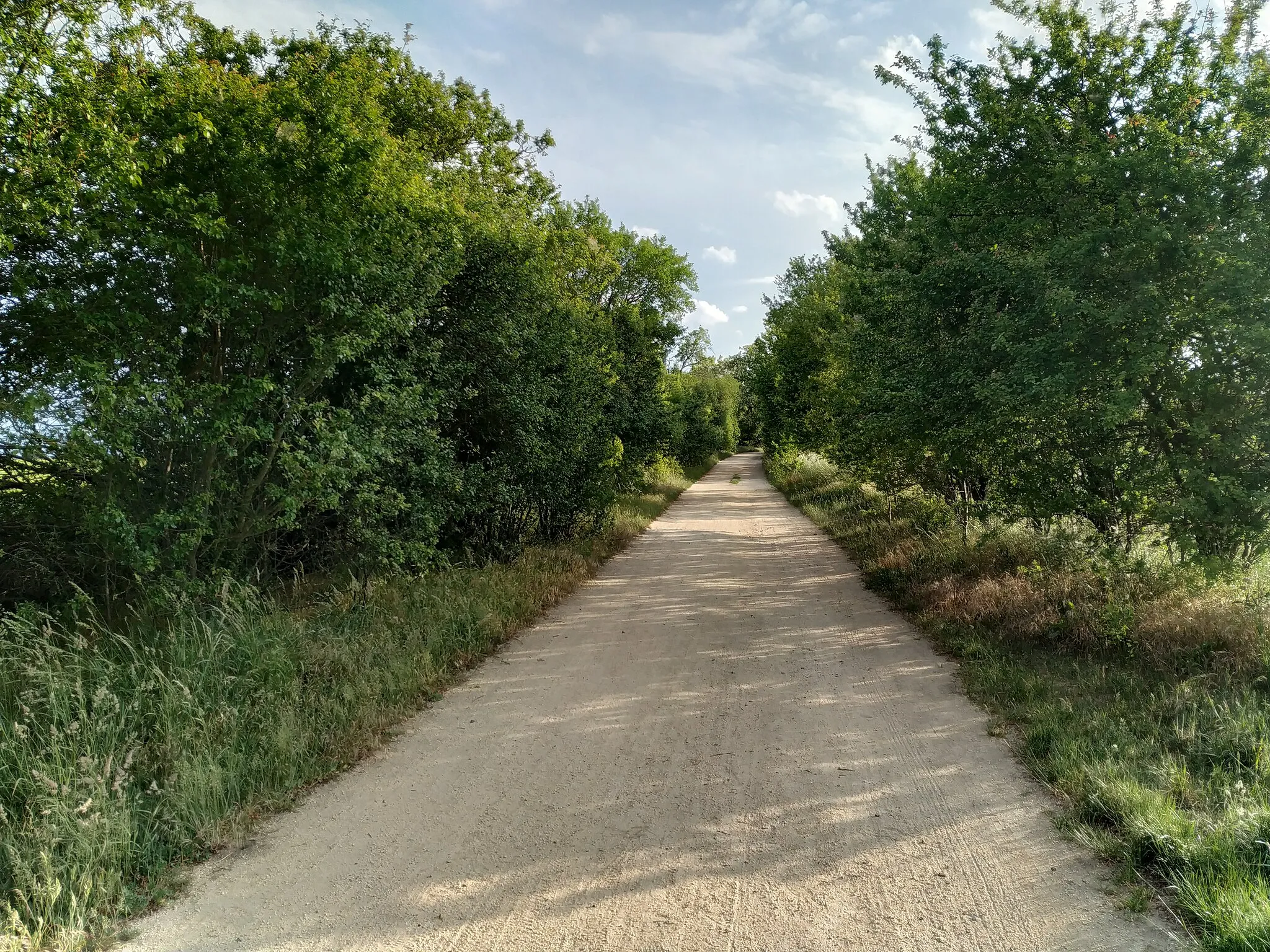 Photo showing: Alter Bernauer Heerweg in Schönerlinde (Wandlitz)