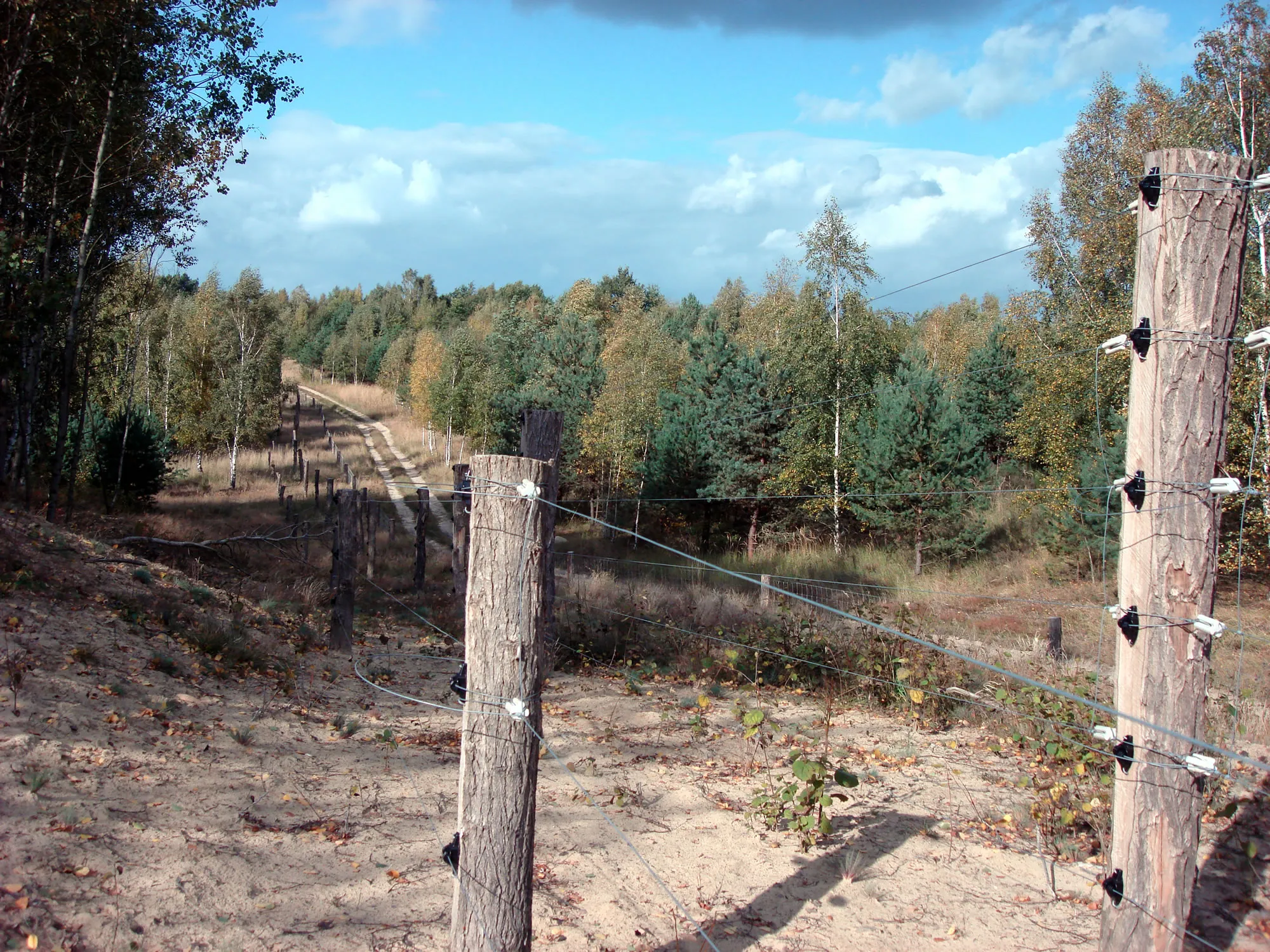 Photo showing: Döberitzer Heide – Das Bild zeigt den doppelten Elektrozaun um die Kernzone des Naturschutzgebietes.
