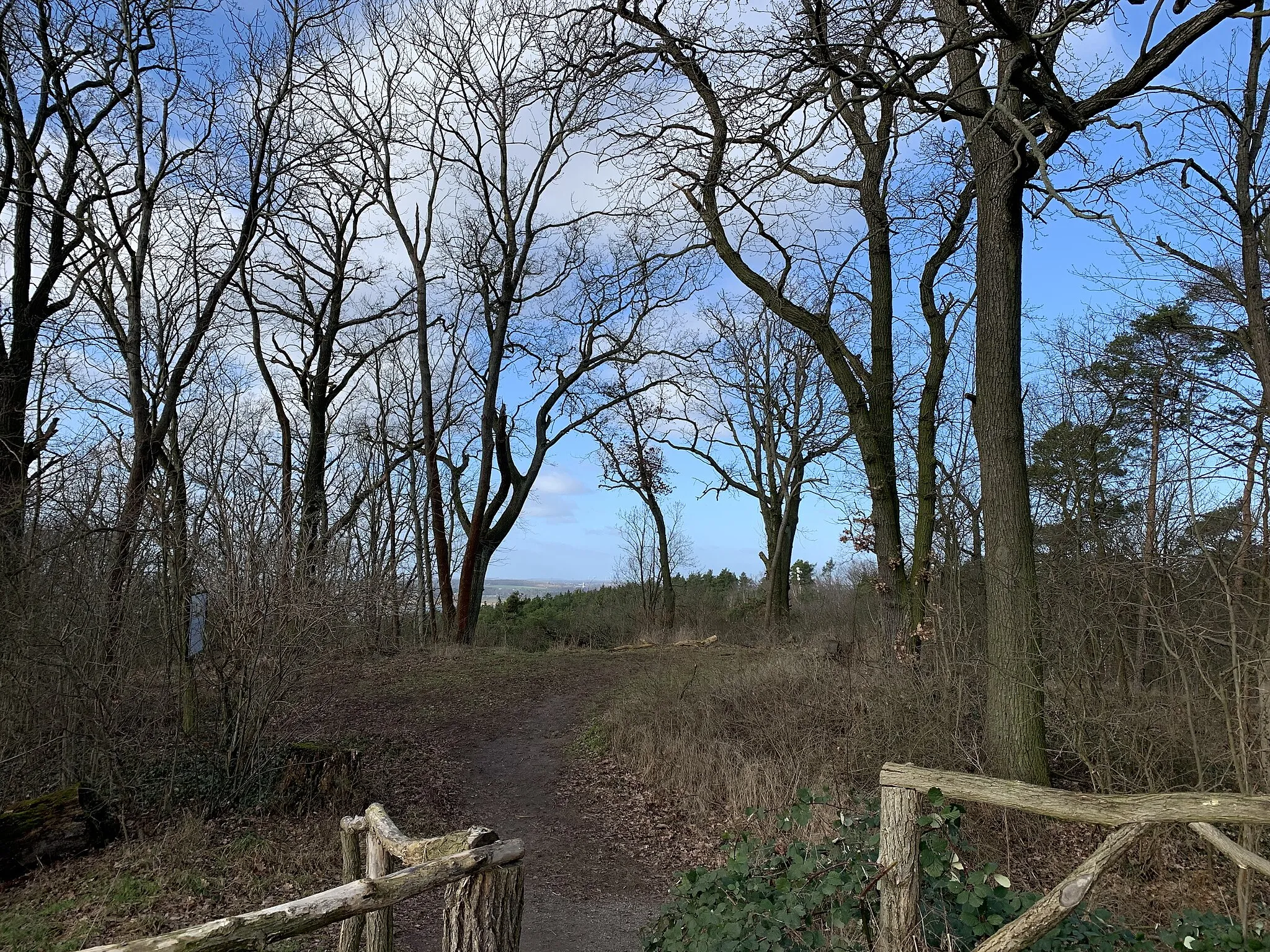 Photo showing: Kirchberg, 85m hohe Erhebung in Potsdam-Neu Fahrland, Brandenburg