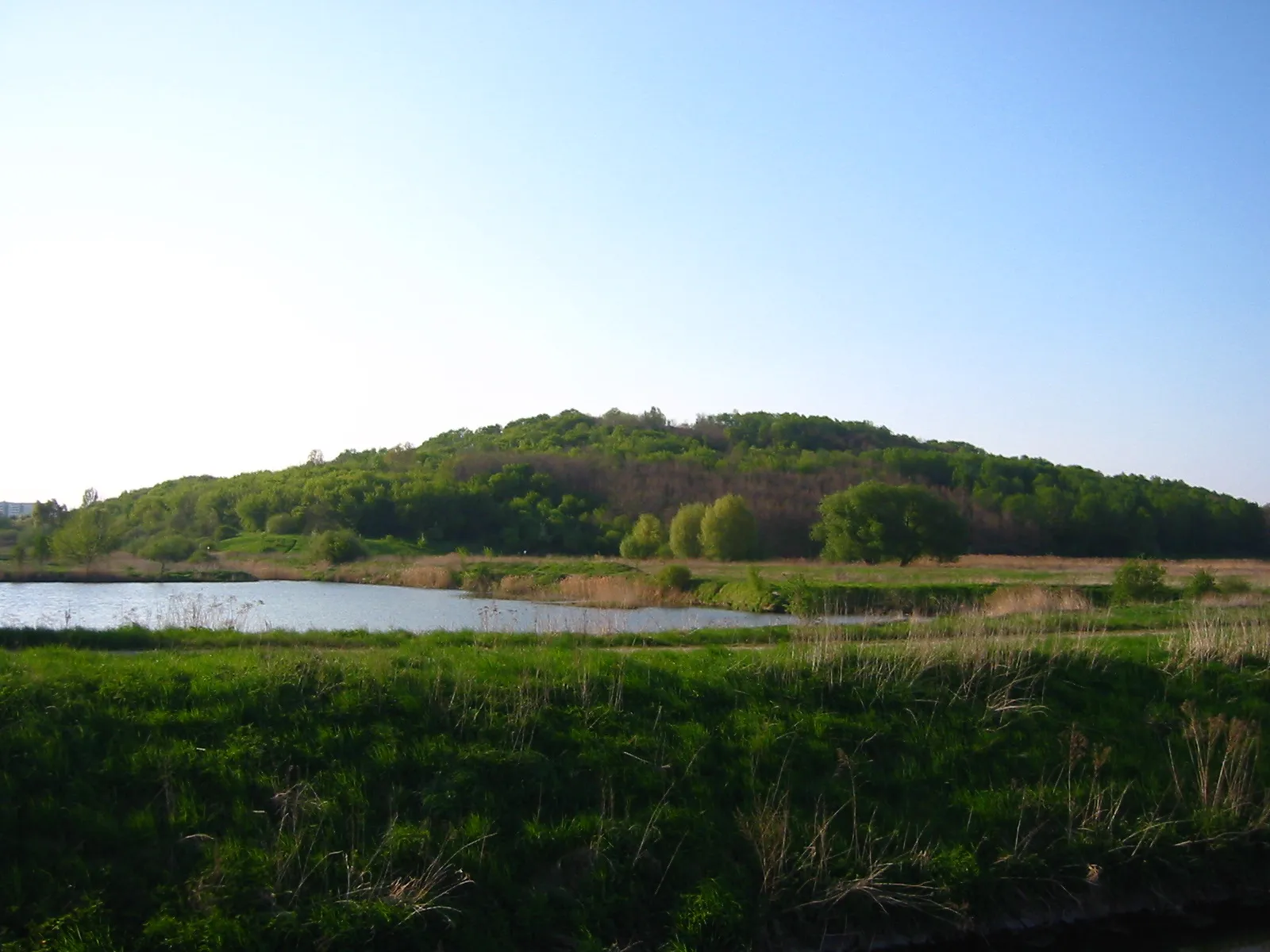 Photo showing: Berlin - the Kienberg seen from Wuhle