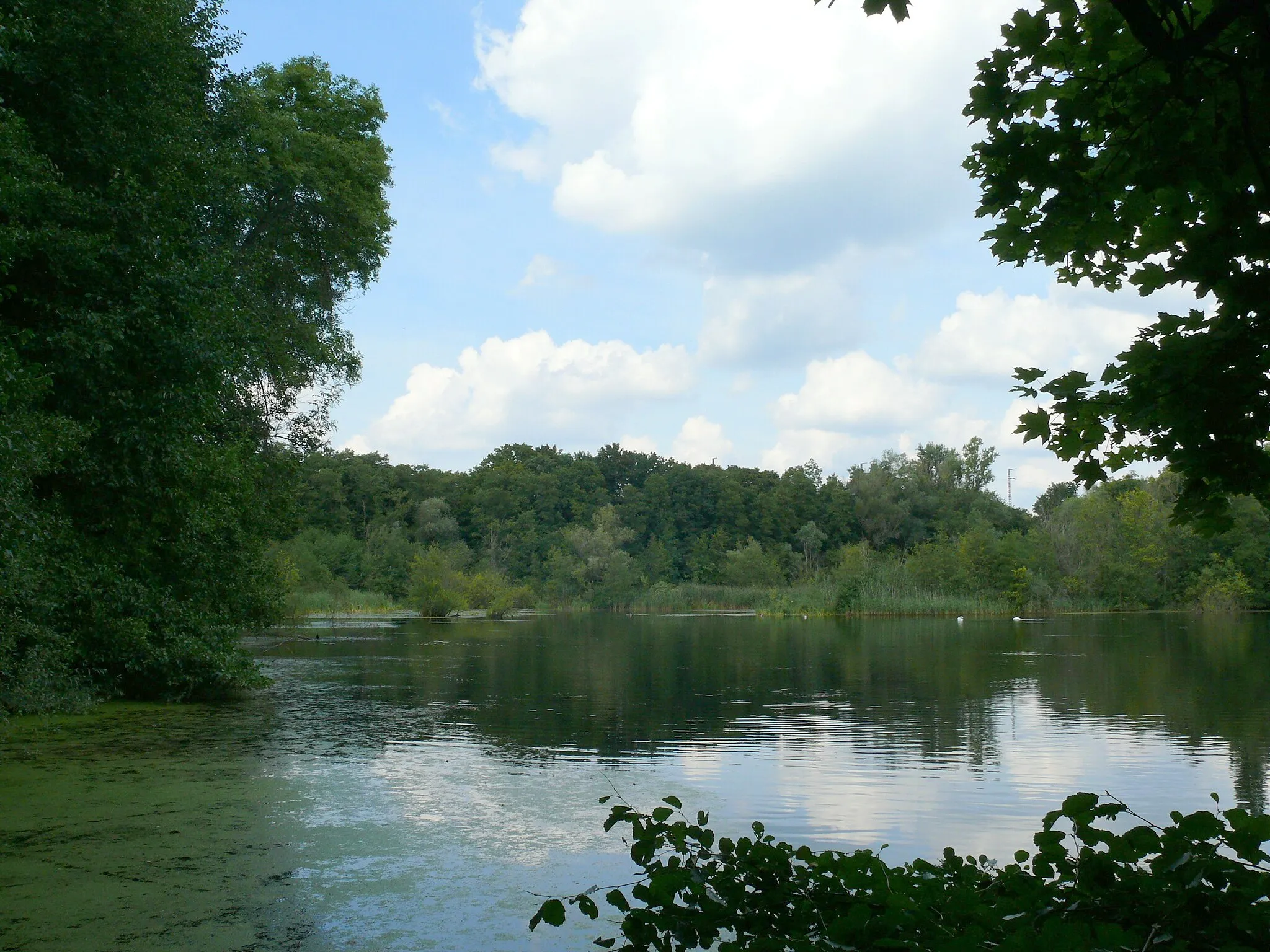 Photo showing: Nikolassee Südwestufer