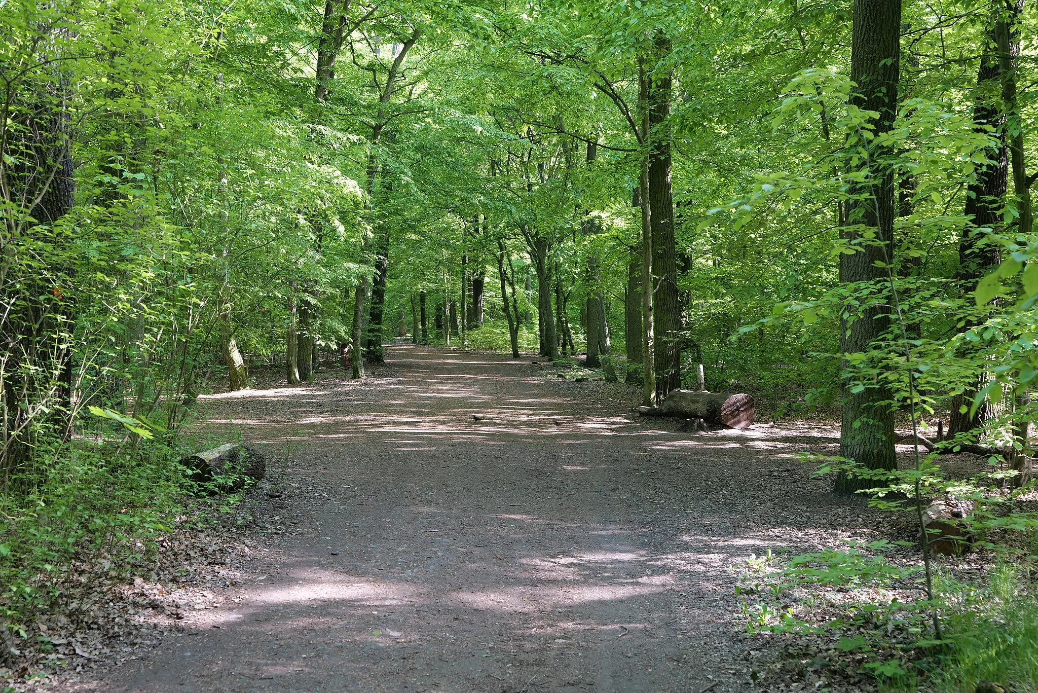 Photo showing: Als Landschaftsschutzgebiet geschützter Wald und Park Plänterwald.