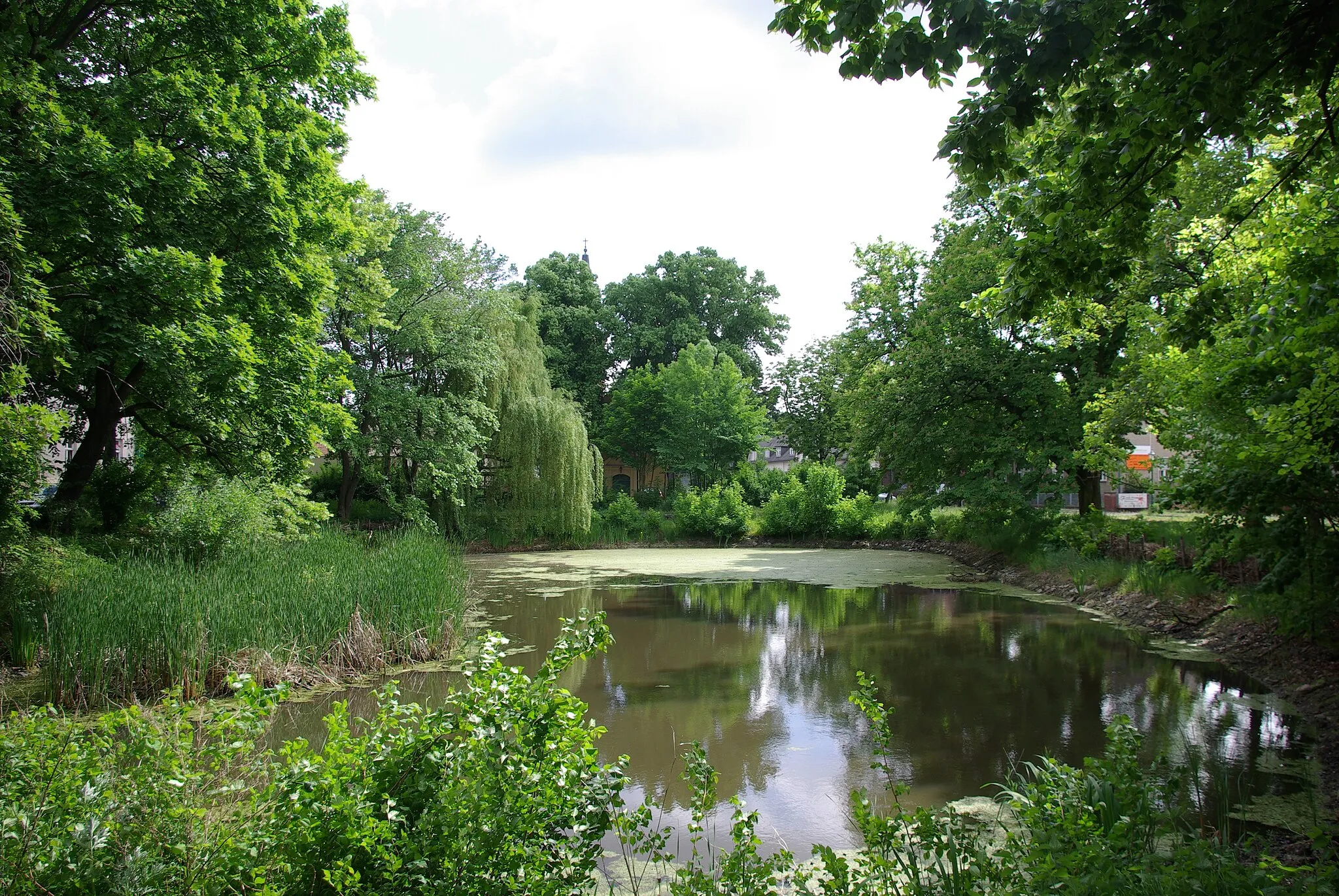 Photo showing: Bohnsdorf in Berlin. In Mitten des Dorfangers befindet sich der Dorfteich. Der Dorfanger ist denkmalgeschützt.