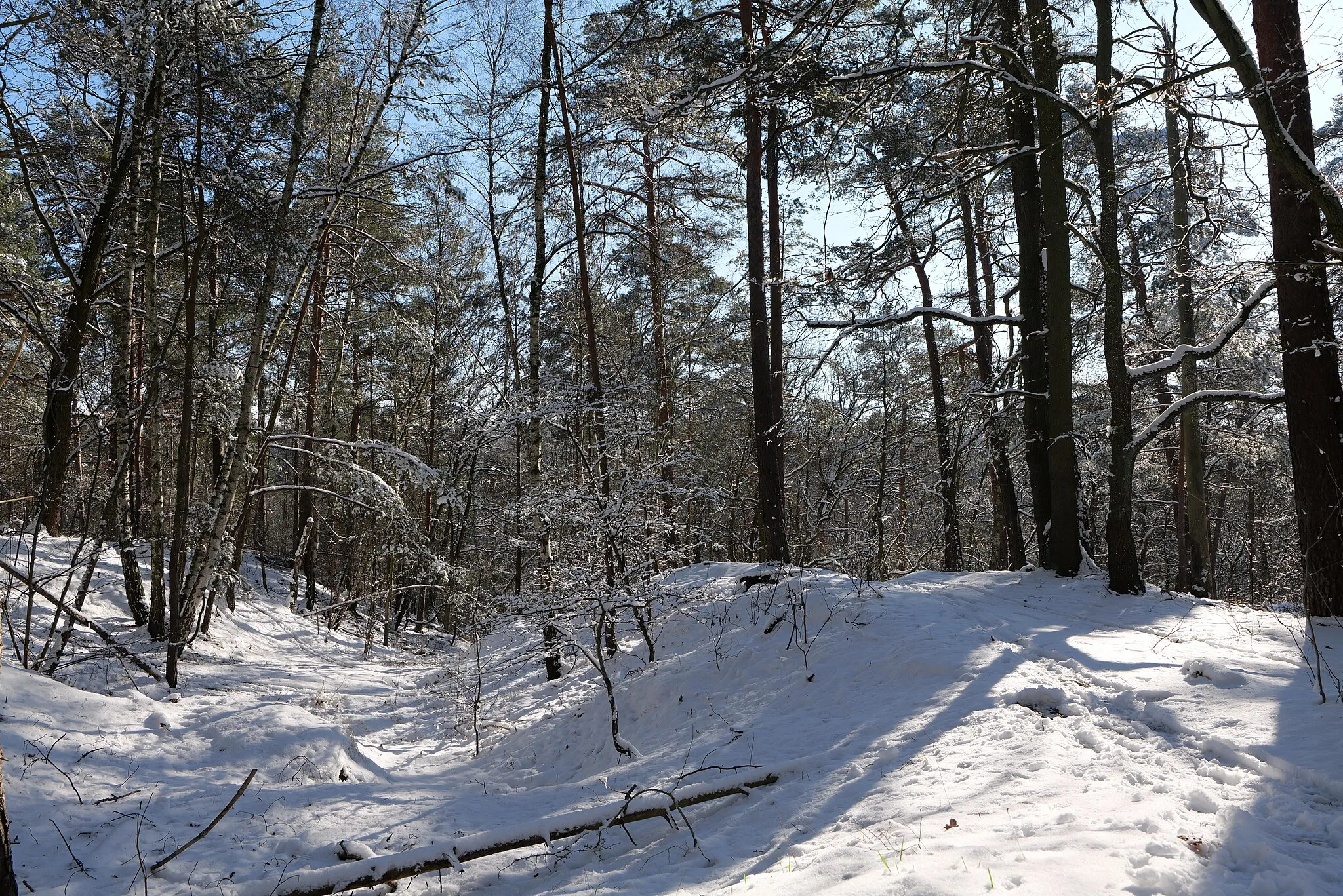 Photo showing: Havelberg im Grunewald mit Schnee am 31. Januar 2021.