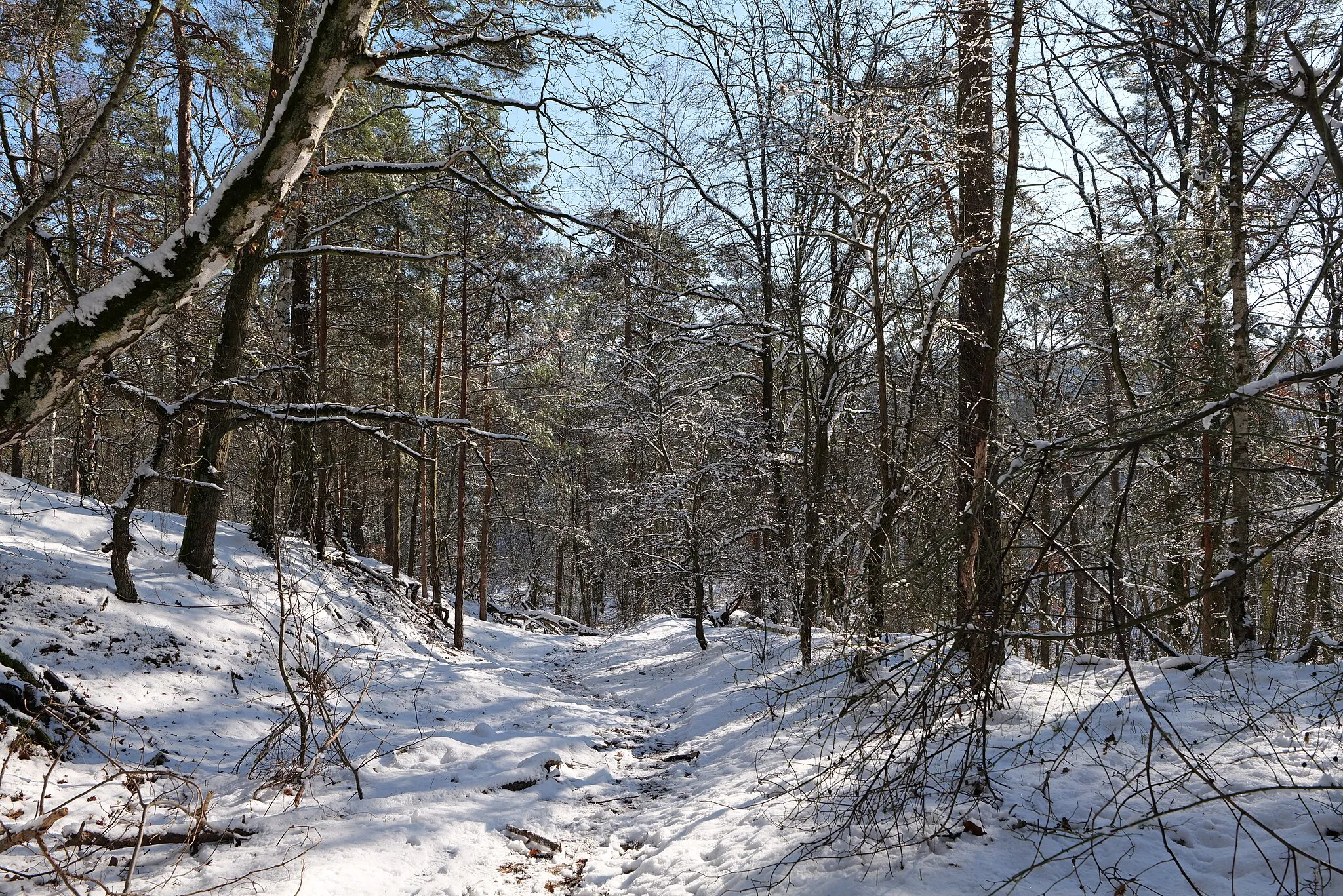 Photo showing: Havelberg im Grunewald mit Schnee am 31. Januar 2021.