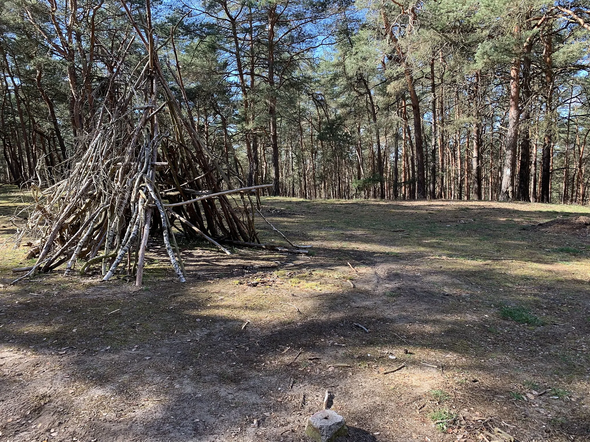 Photo showing: Backofenberg, eine 91m hohe Erhebung der Gemeinde Nuthetal in Brandenburg