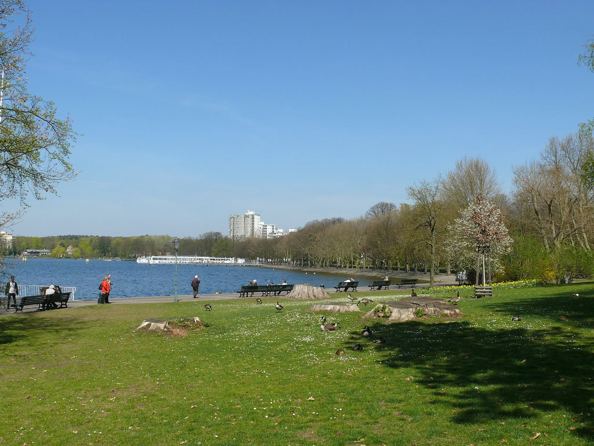 Photo showing: Berlin-Tegel Borsigdamm Promenade