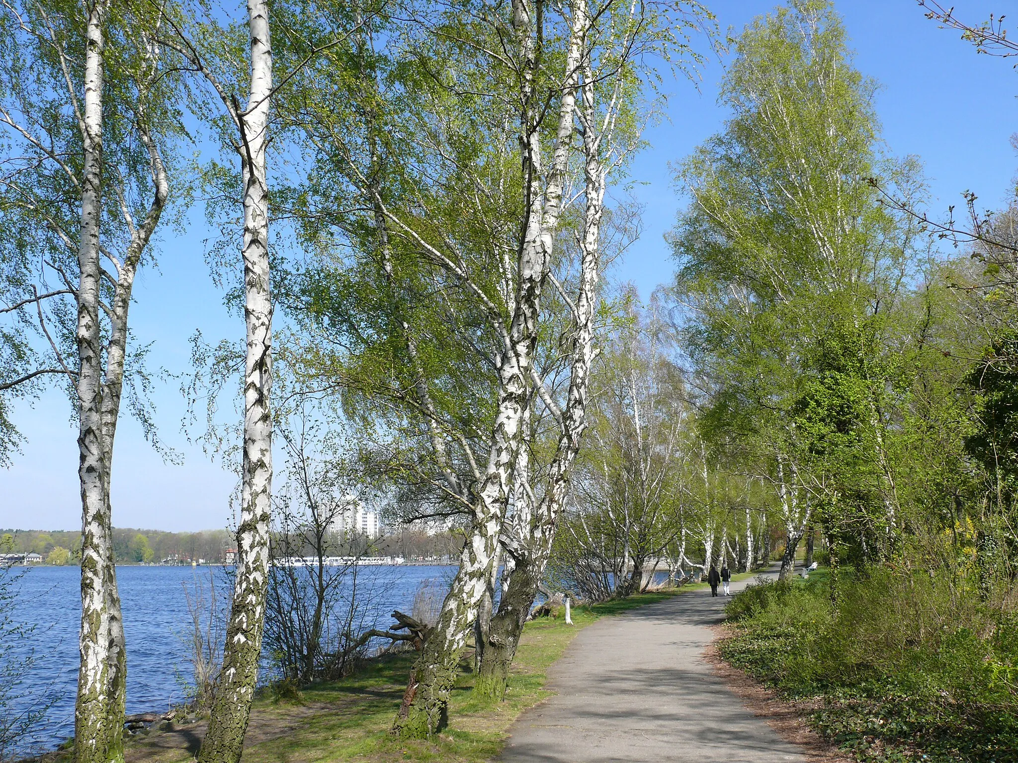 Photo showing: Berlin-Tegel Promenade am Borsigdamm