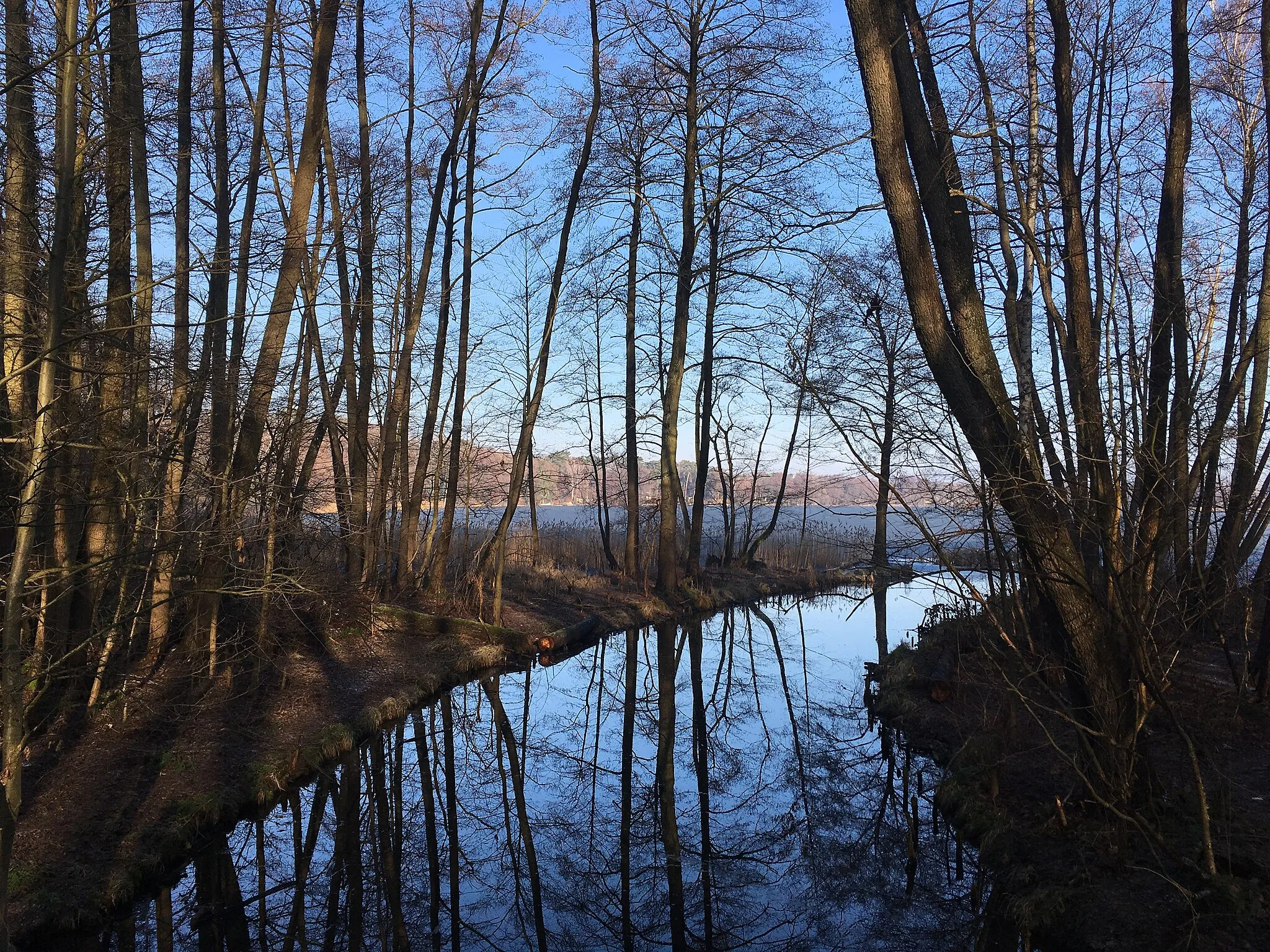 Photo showing: Glunze, ein Verbinungsgraben zwischen dem Pätzer Vordersee mit dem Todnitzsee in Brandenburg