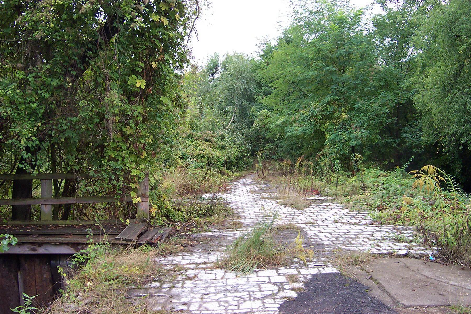 Photo showing: Berlin Anhalter Bahnhof - yard