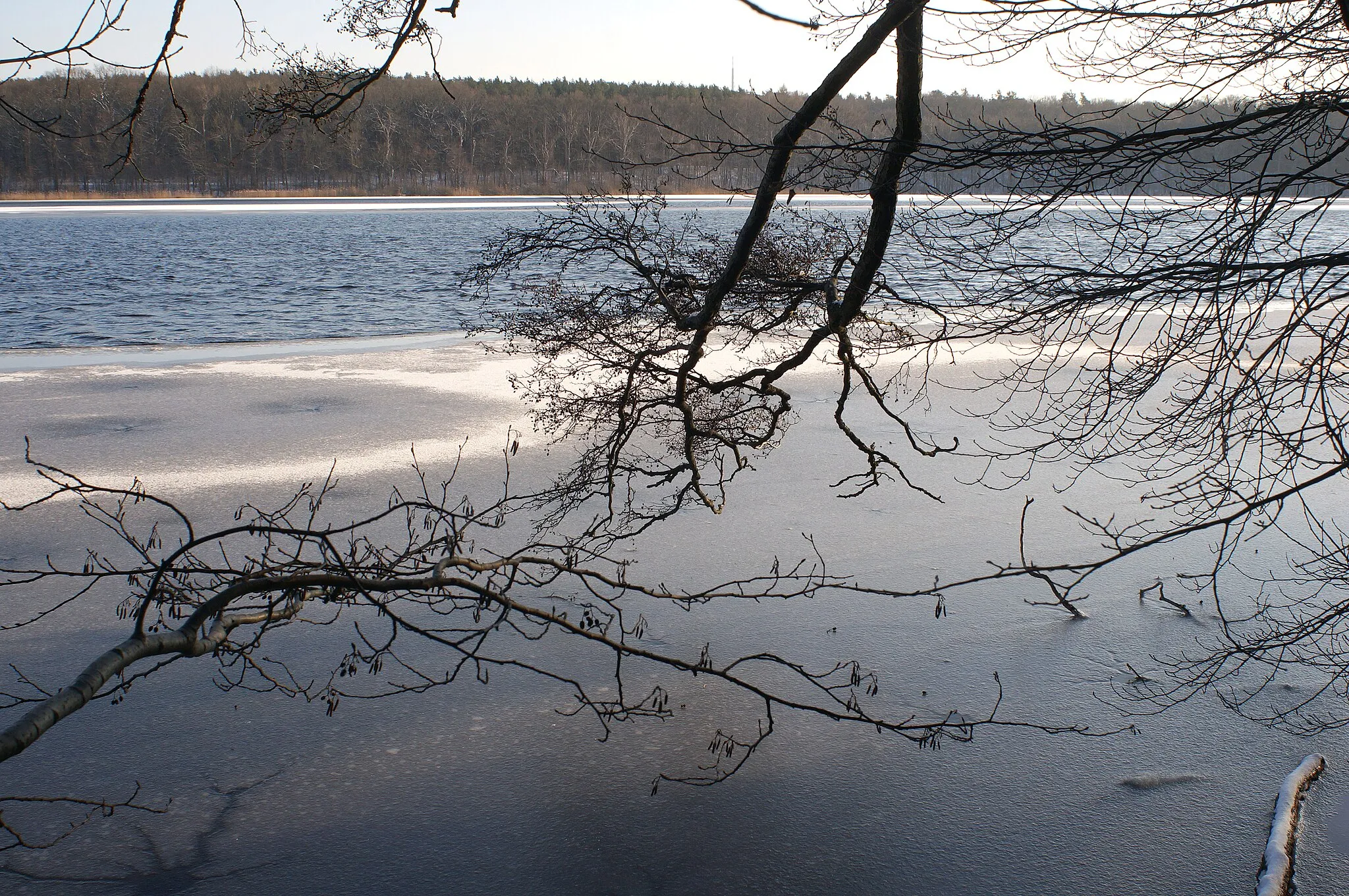 Photo showing: View from the west bank of the Lake "Sacrower See" in the "Sacrower See und Königswald" nature reserve in Brandenburg, Germany.