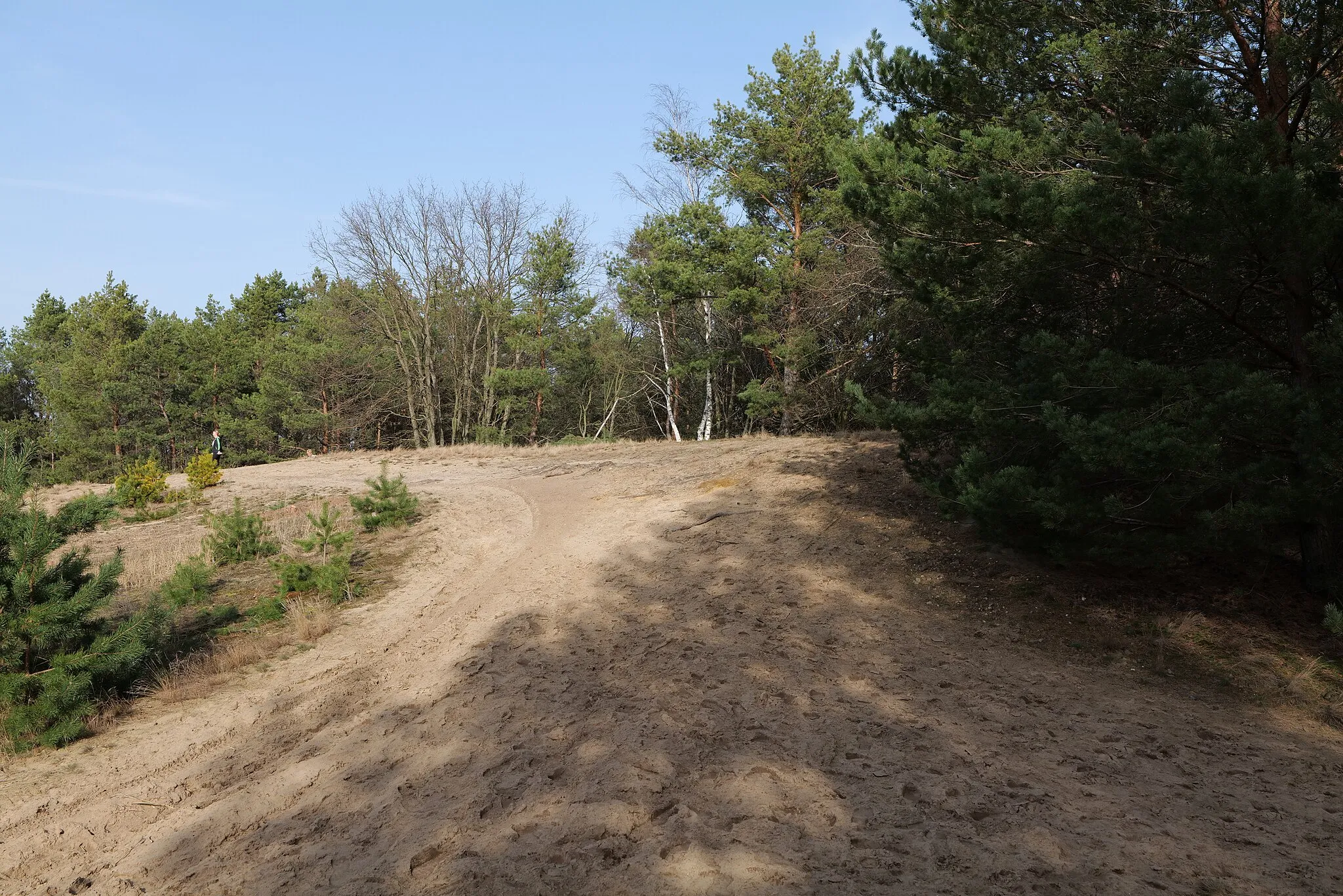 Photo showing: Eichberg im SAC Saarmunder Berg am 24. Februar 2021.