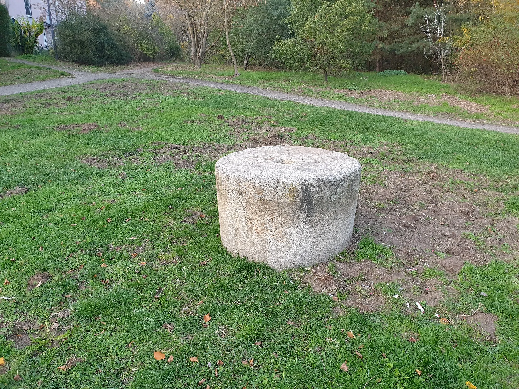 Photo showing: An old millstone located in the Bieselheide in Mühlenbecker Land