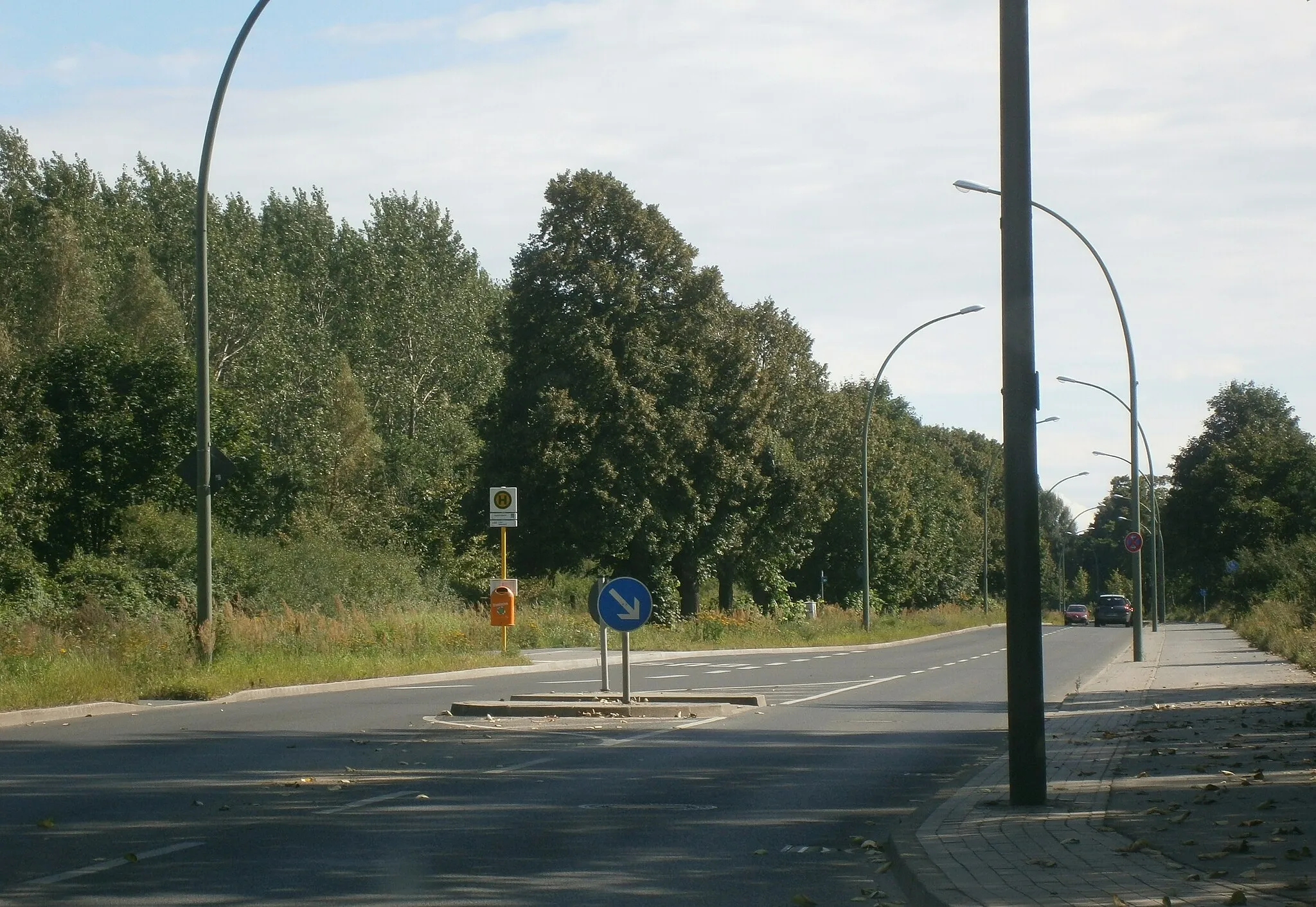 Photo showing: Schildower Straße ist eine Straße im Berliner Ortsteil Blankenfelde, Teil der Bundesstraße 96a. Die Bildbezeichnung ist falsch!!