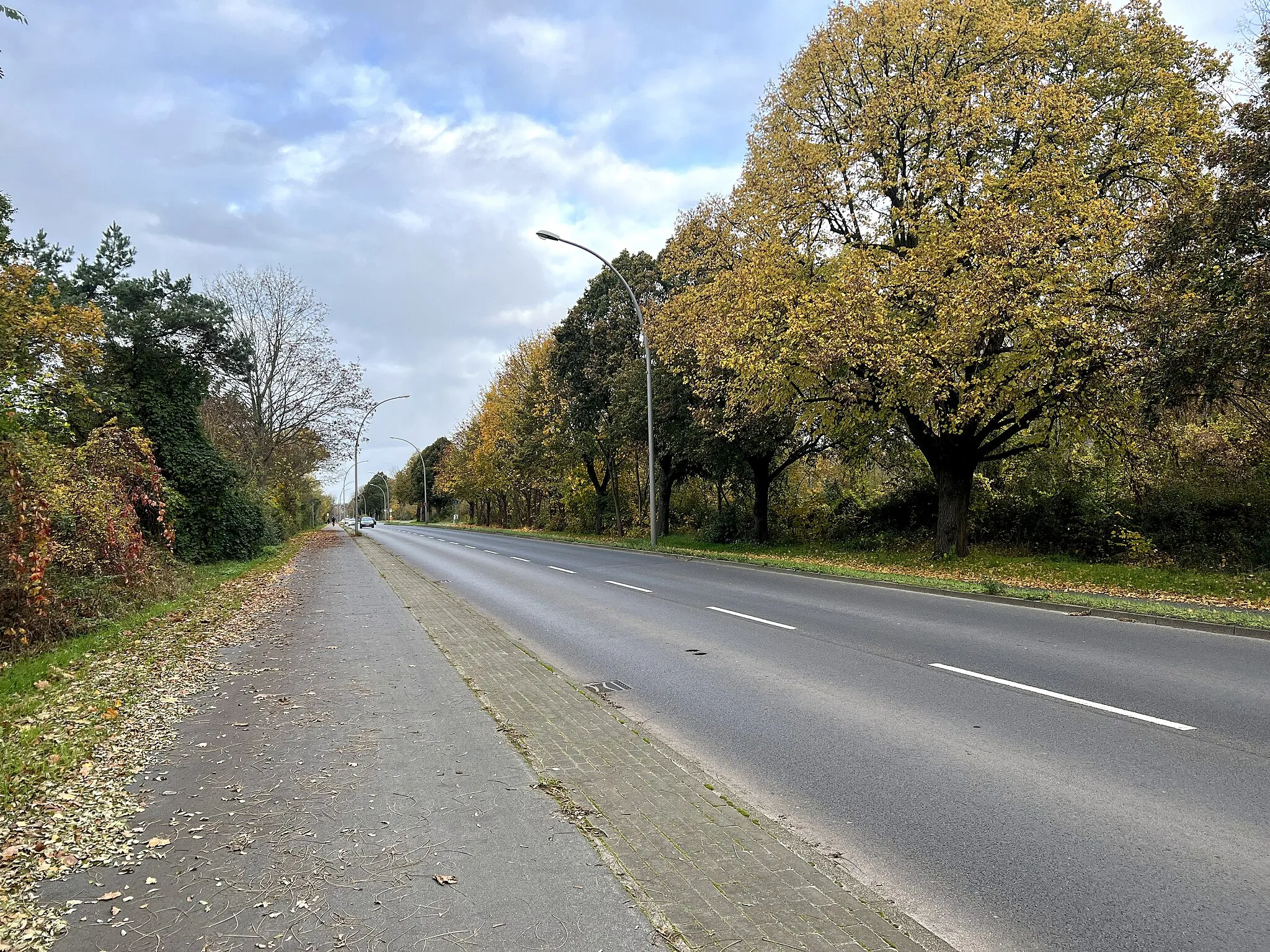 Photo showing: Schildower Straße in Berlin-Blankenfelde, Deutschland. Die Schildower Straße ist Teil der Bundesstraße B 96a und ist eine Hauptstraße südlich der namensgebenden Ortschaft Schildow.