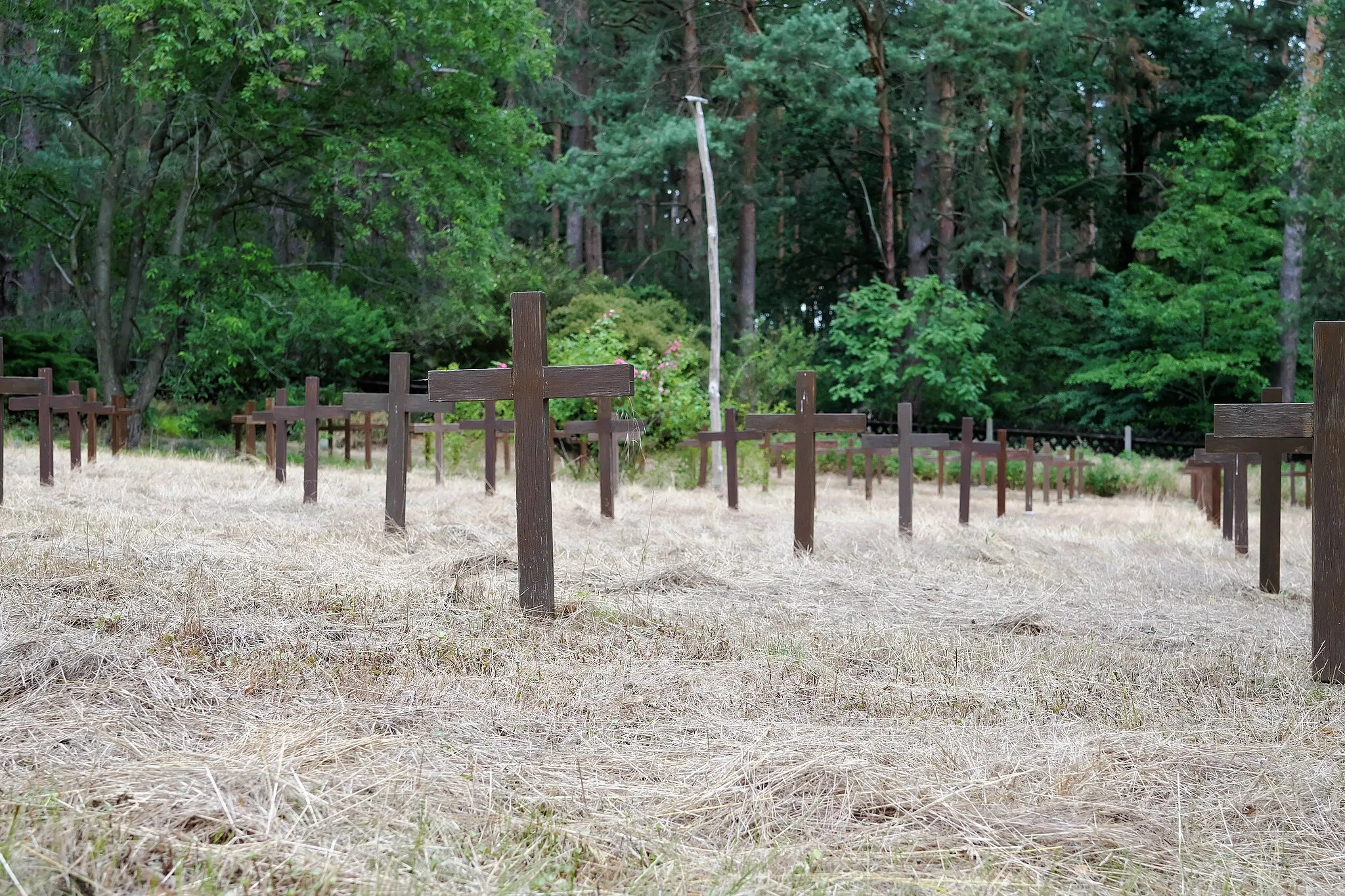 Photo showing: Holzkreuze auf dem Friedhof der Johannischen Kirche in Glau, Trebbin, Brandenburg, Deutschland