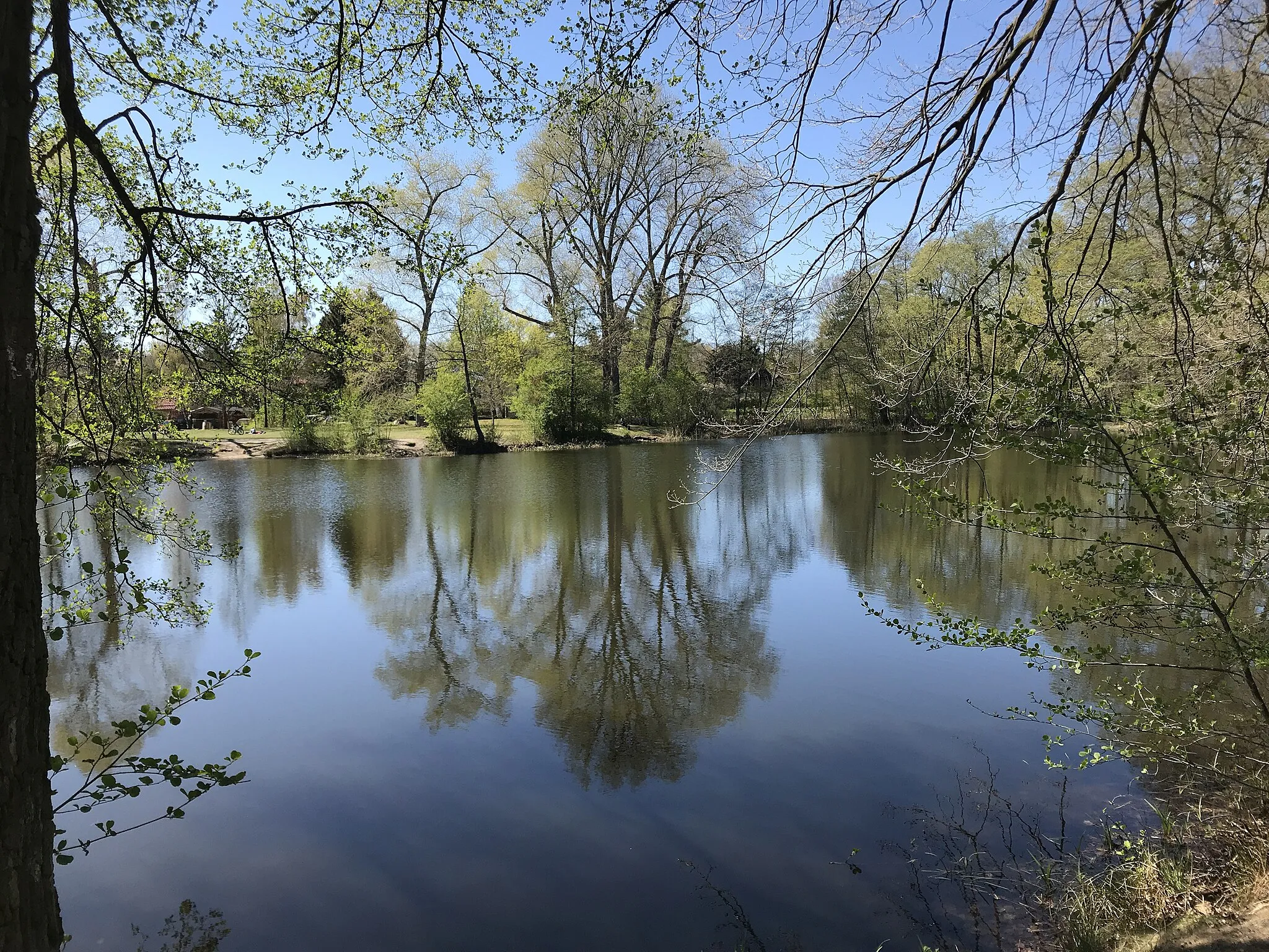 Photo showing: Nymphensee, ein Gewässer der Gemeinde Rangsdorf in Brandenburg