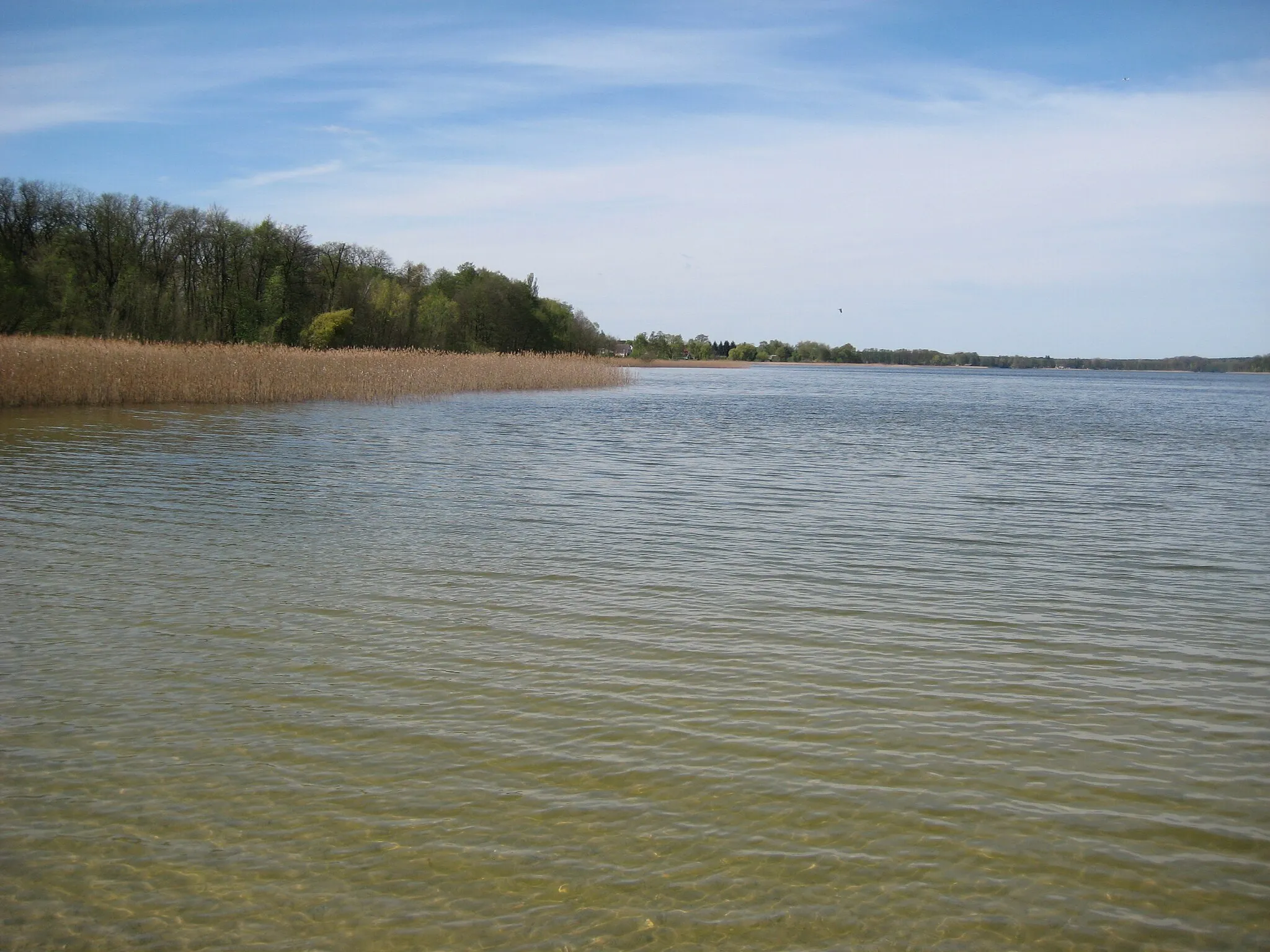 Photo showing: Großer Seddiner See- Kähnsdorfer Strand