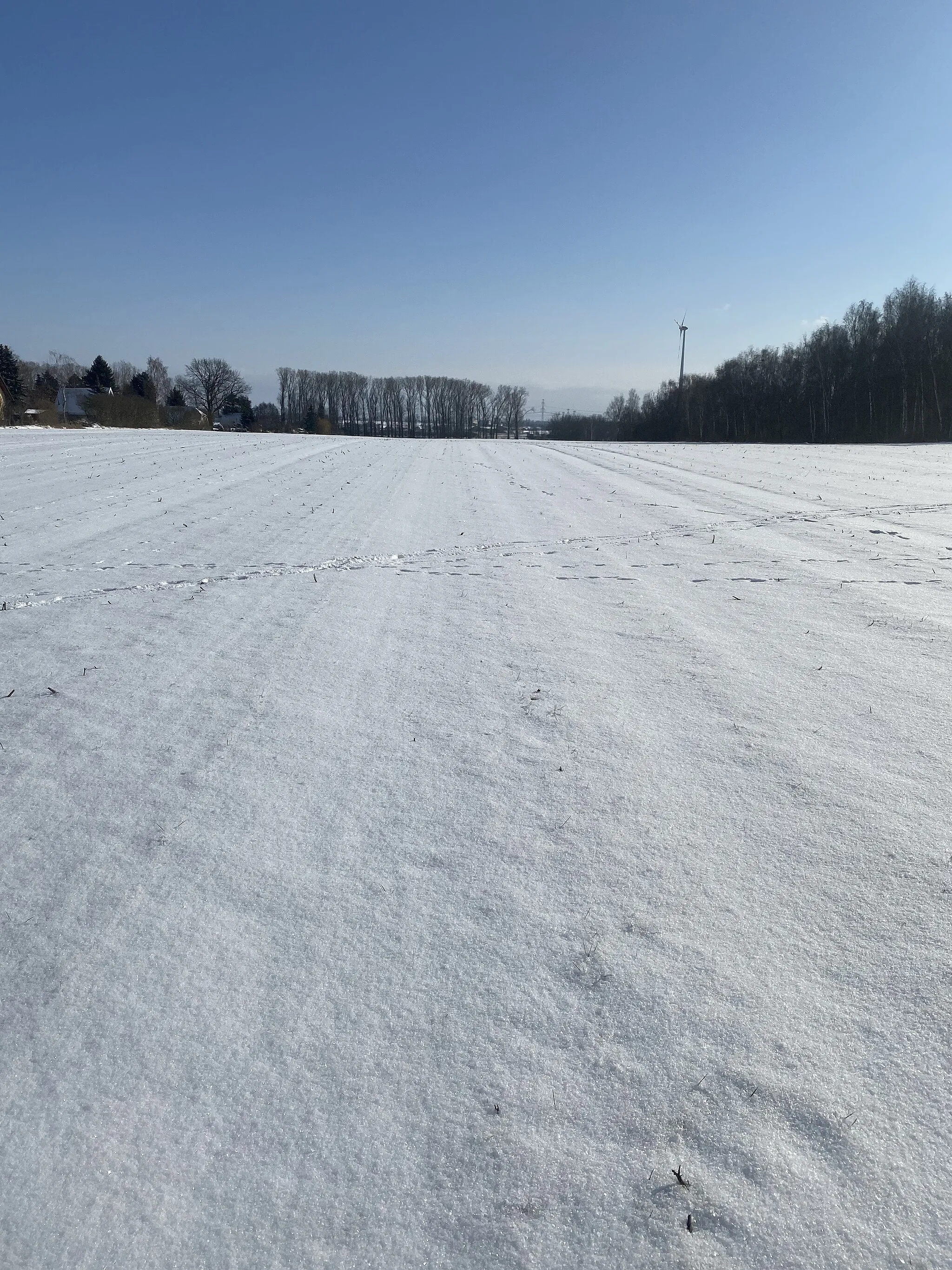 Photo showing: Eine Ackerfläche in Berlin-Karow mit Schnee. Im Hintergrund ist bereits der Stadtrandpark Neue Wiesen zu sehen.