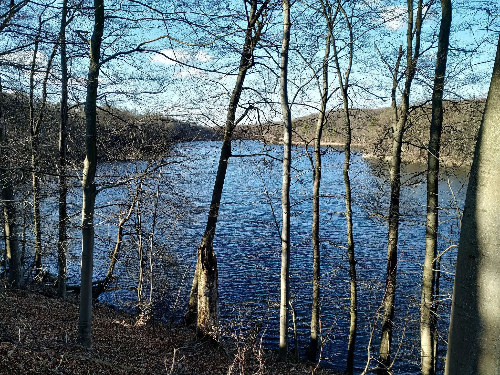 Photo showing: Hellsee in Lanke, Brandenburg: Südufer