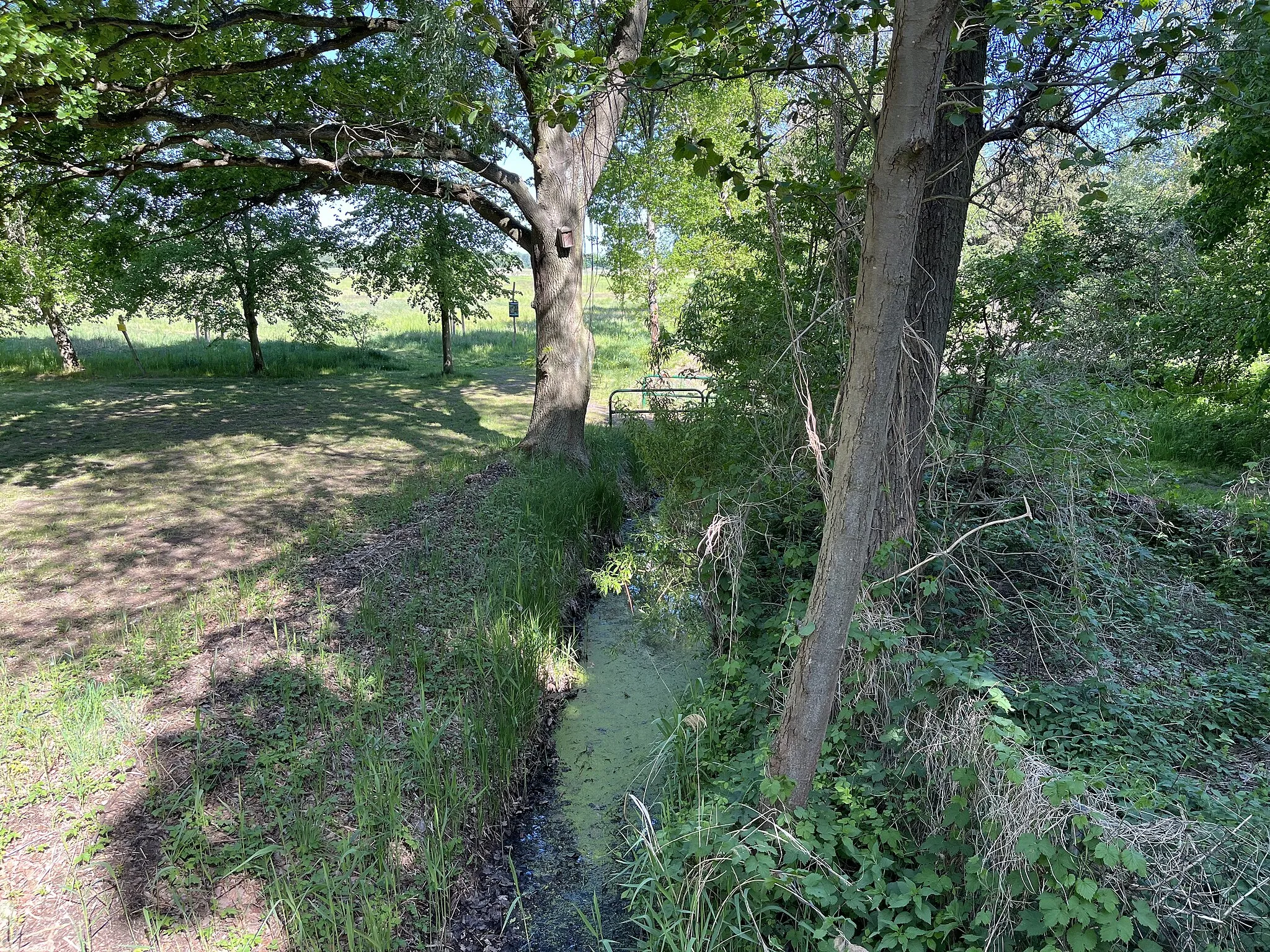 Photo showing: Jütchendorfer Graben, Meliorationsgraben und Zufluss der Nuthe bei Ludwigsfelde-Jütchendorf, Landkreis Teltow-Fläming, Brandenburg