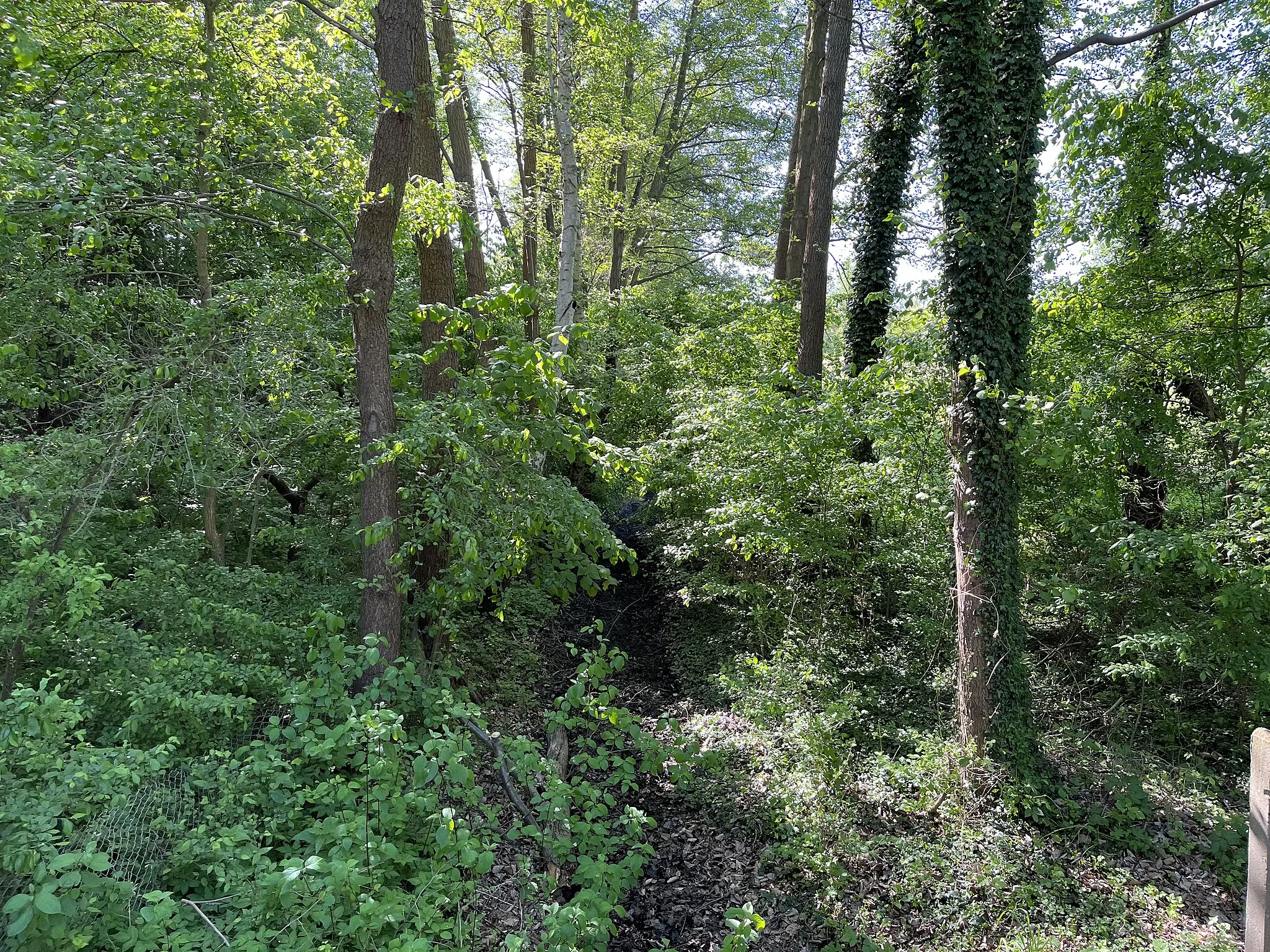 Photo showing: Jütchendorfer Graben, Meliorationsgraben und Zufluss der Nuthe bei Ludwigsfelde-Jütchendorf, Landkreis Teltow-Fläming, Brandenburg