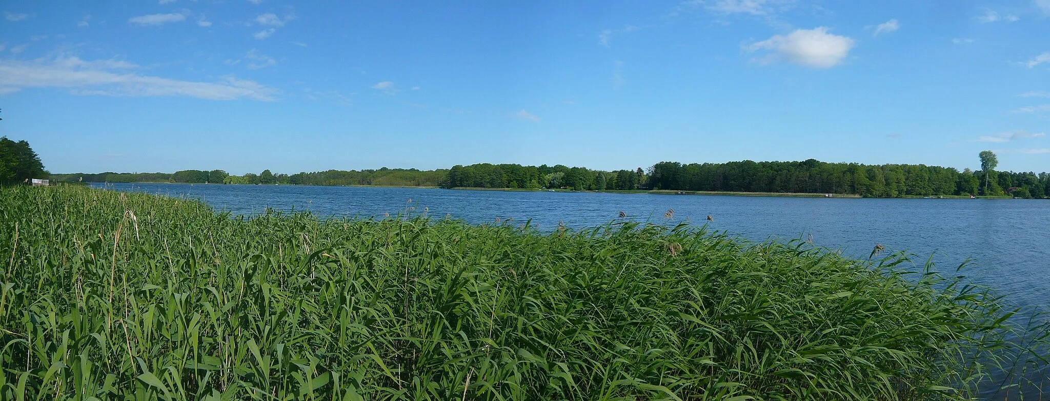 Photo showing: Rahmer See Wandlitz, Seepanorama