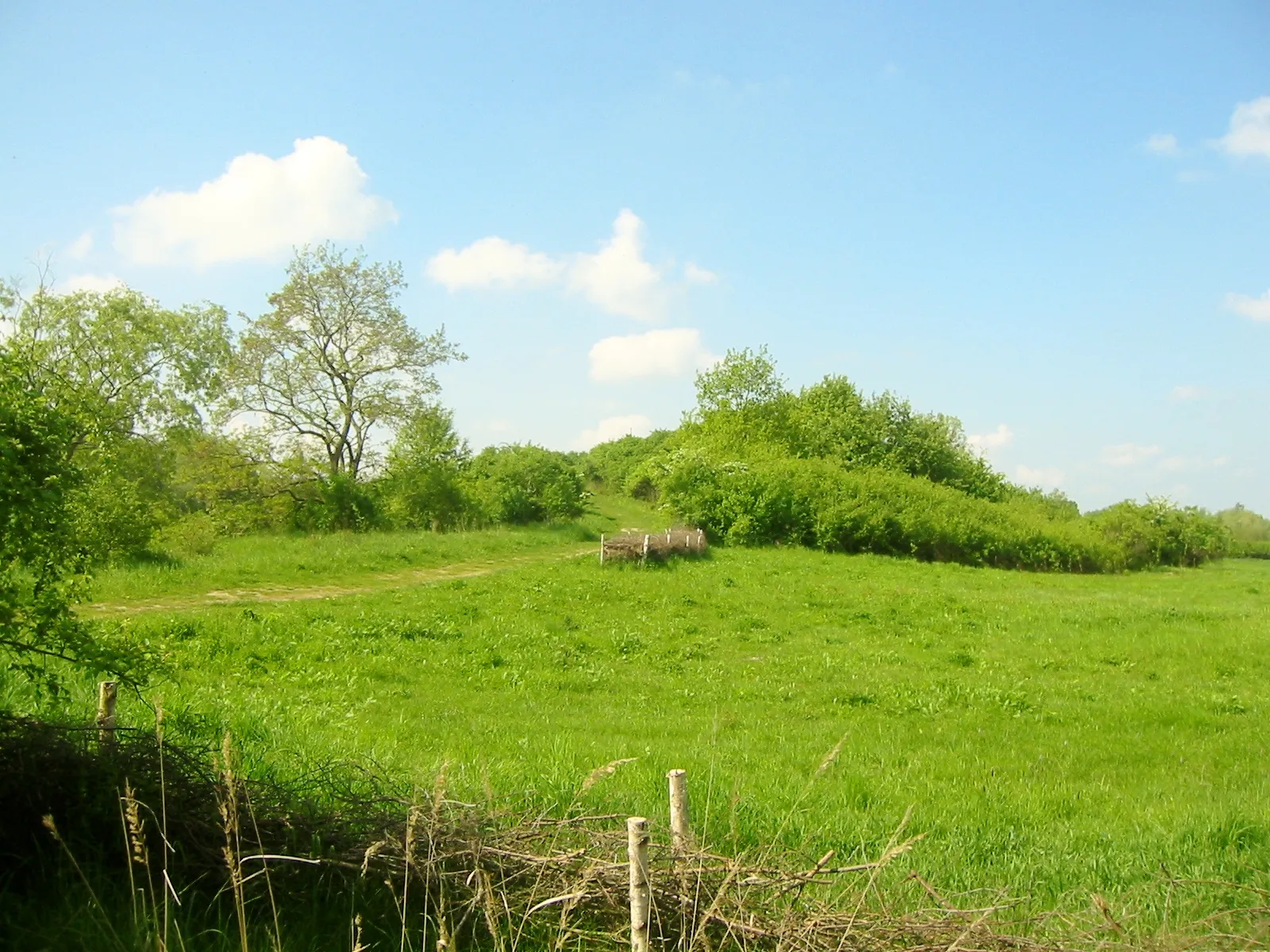 Photo showing: Blick auf den Alpengipfel, eine rund 80 Meter hohe Erhebung im Park. Der Freizeitpark Marienfelde liegt im gleichnamigen Ortsteil in Berlin. Er ist rund 40 Hektar groß und wurde auf einer ehemaligen Mülldeponie errichtet.