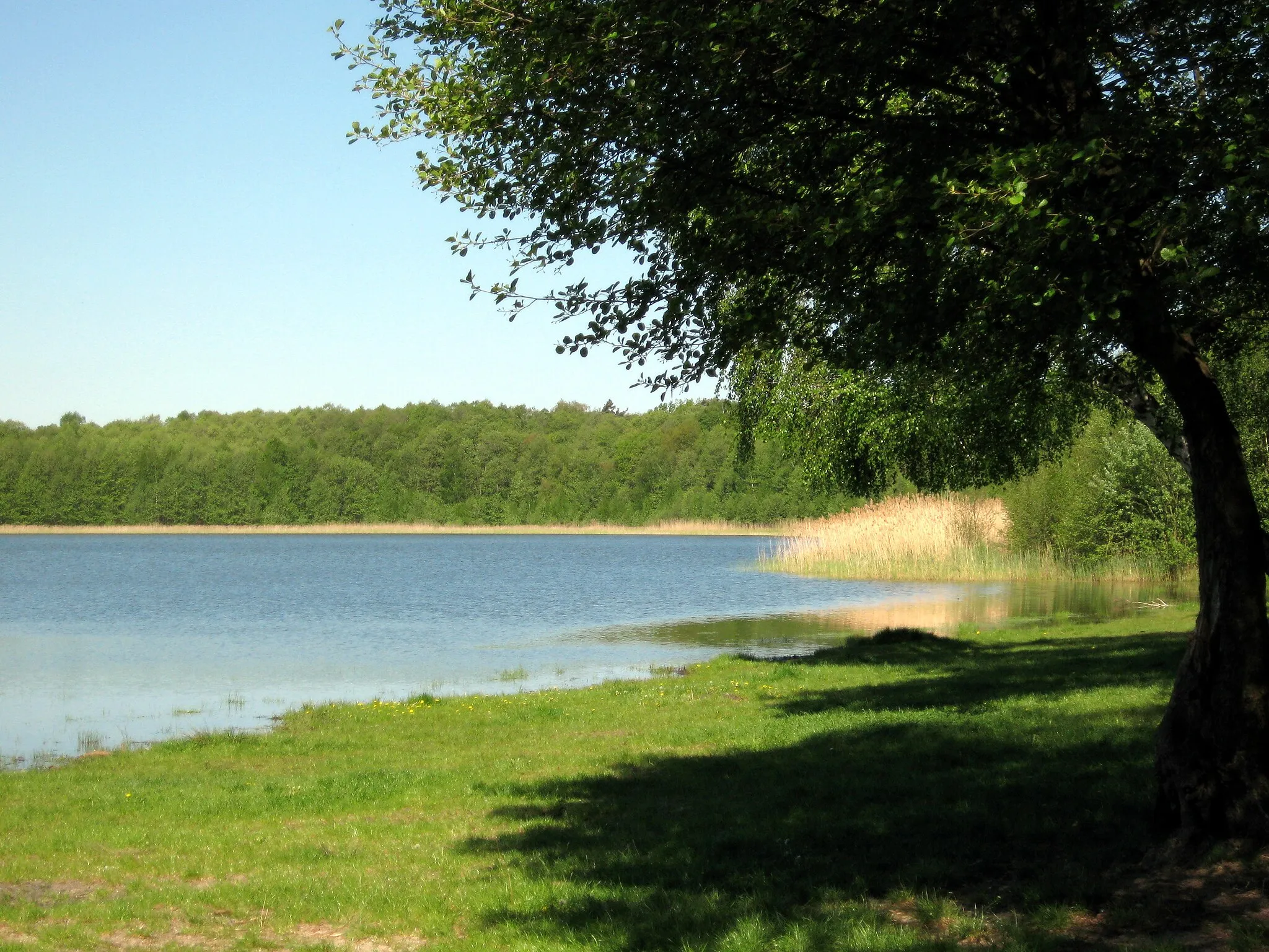 Photo showing: Gorinsee, Schönwalde (Barnim), Gemeinde Wandlitz, Landkreis Barnim, Land Brandenburg, Deutschland