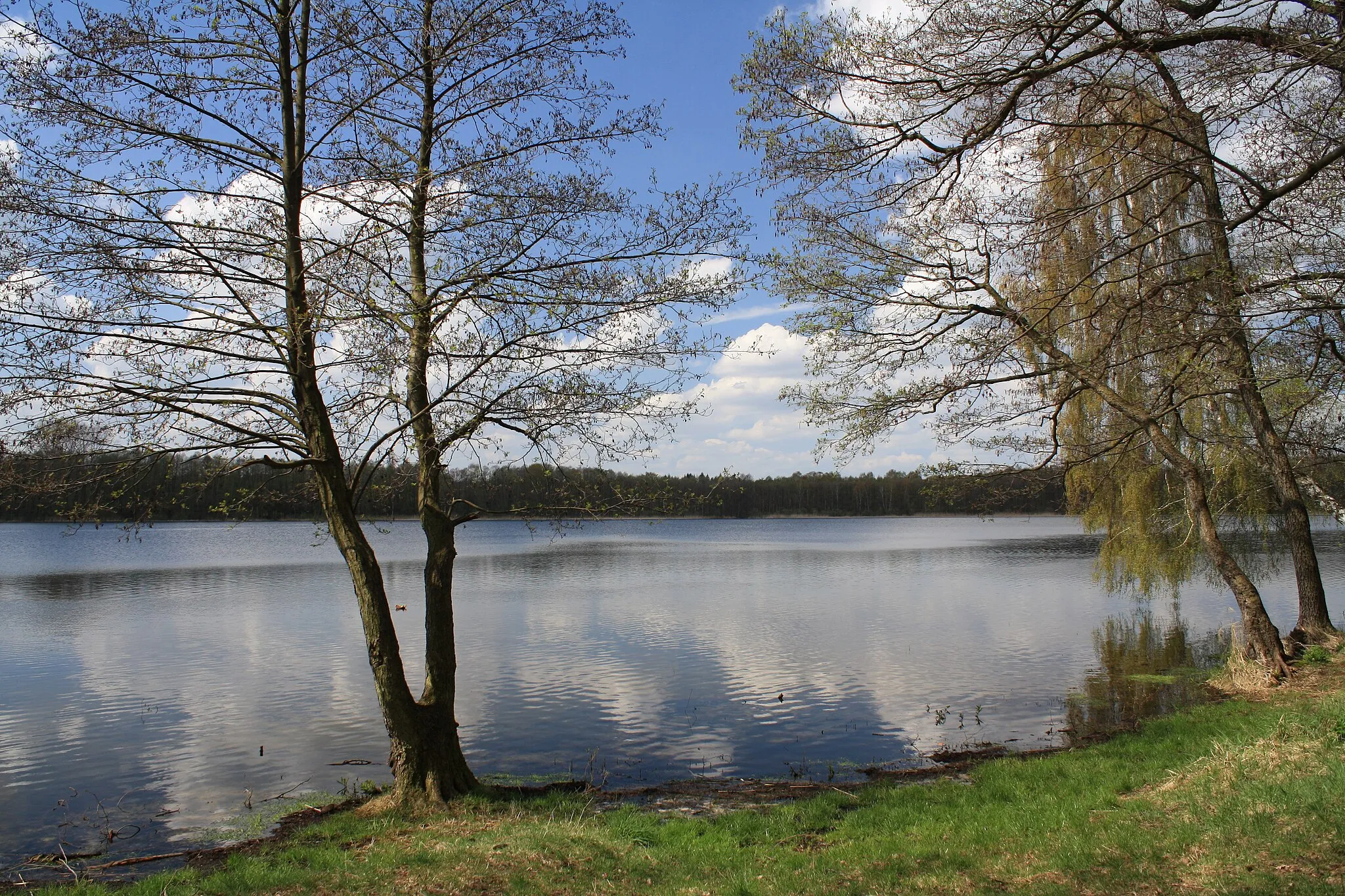 Photo showing: Lake Gorinsee, Schönwalde (Barnim), municipality Wandlitz, Brandenburg, Deutschland