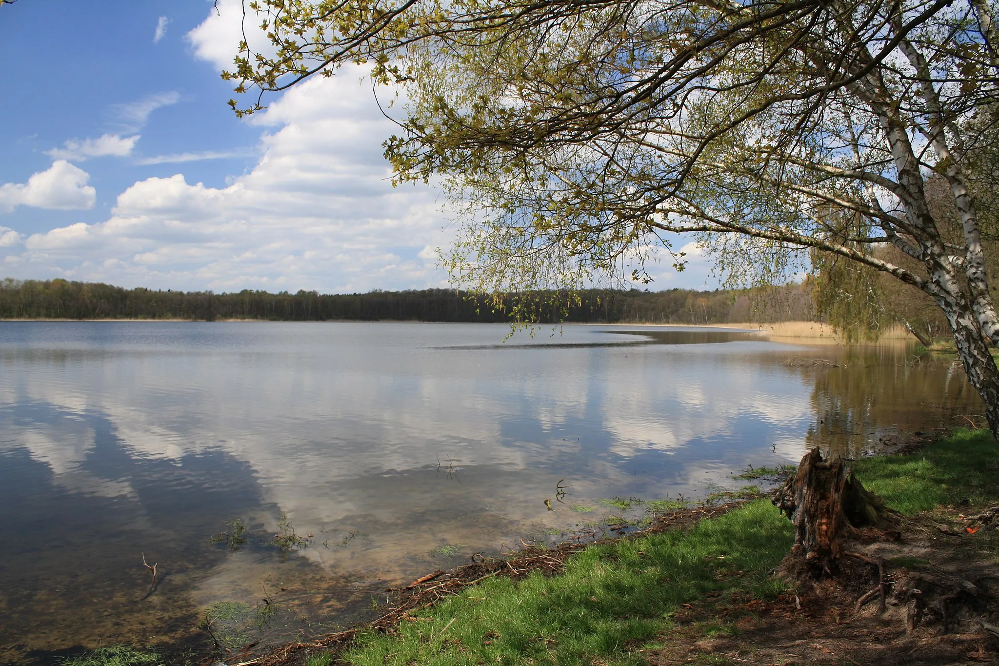 Photo showing: Lake Gorinsee, Schönwalde (Barnim), municipality Wandlitz, Brandenburg, Deutschland