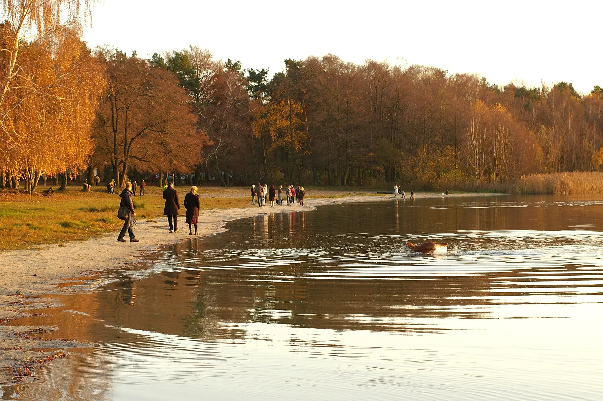 Photo showing: Gorinsee