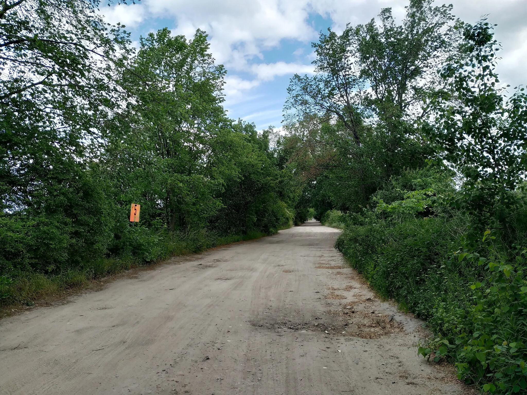 Photo showing: Birkholzer Allee in Panketal, Landkreis Barnim