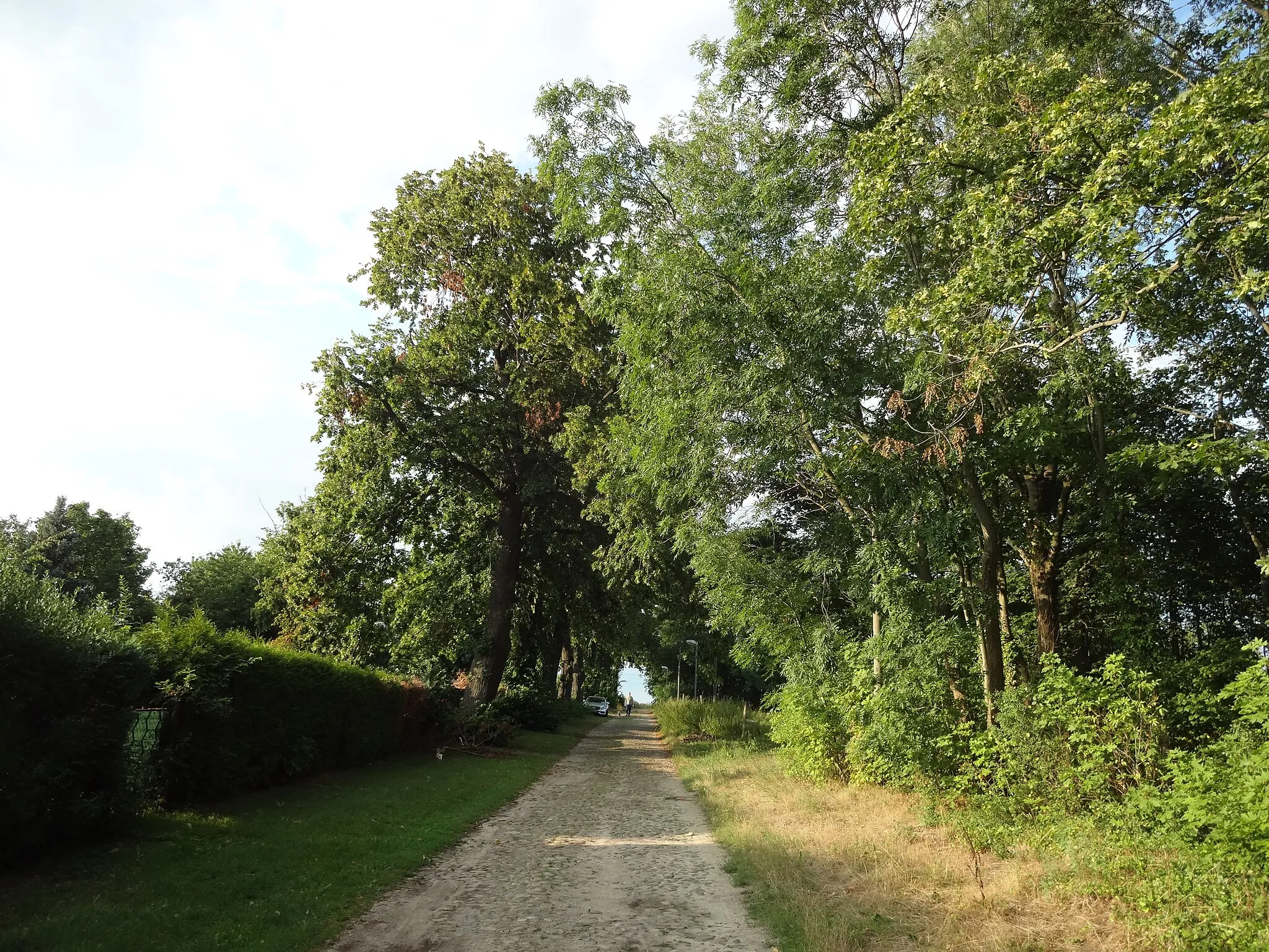 Photo showing: Lindenweg in Werben in Zossen