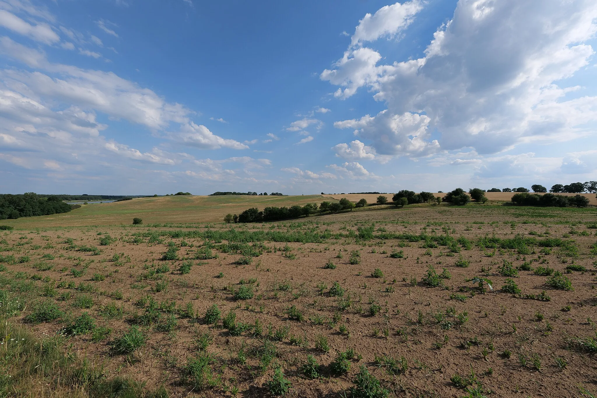 Photo showing: Feld in Lebus.