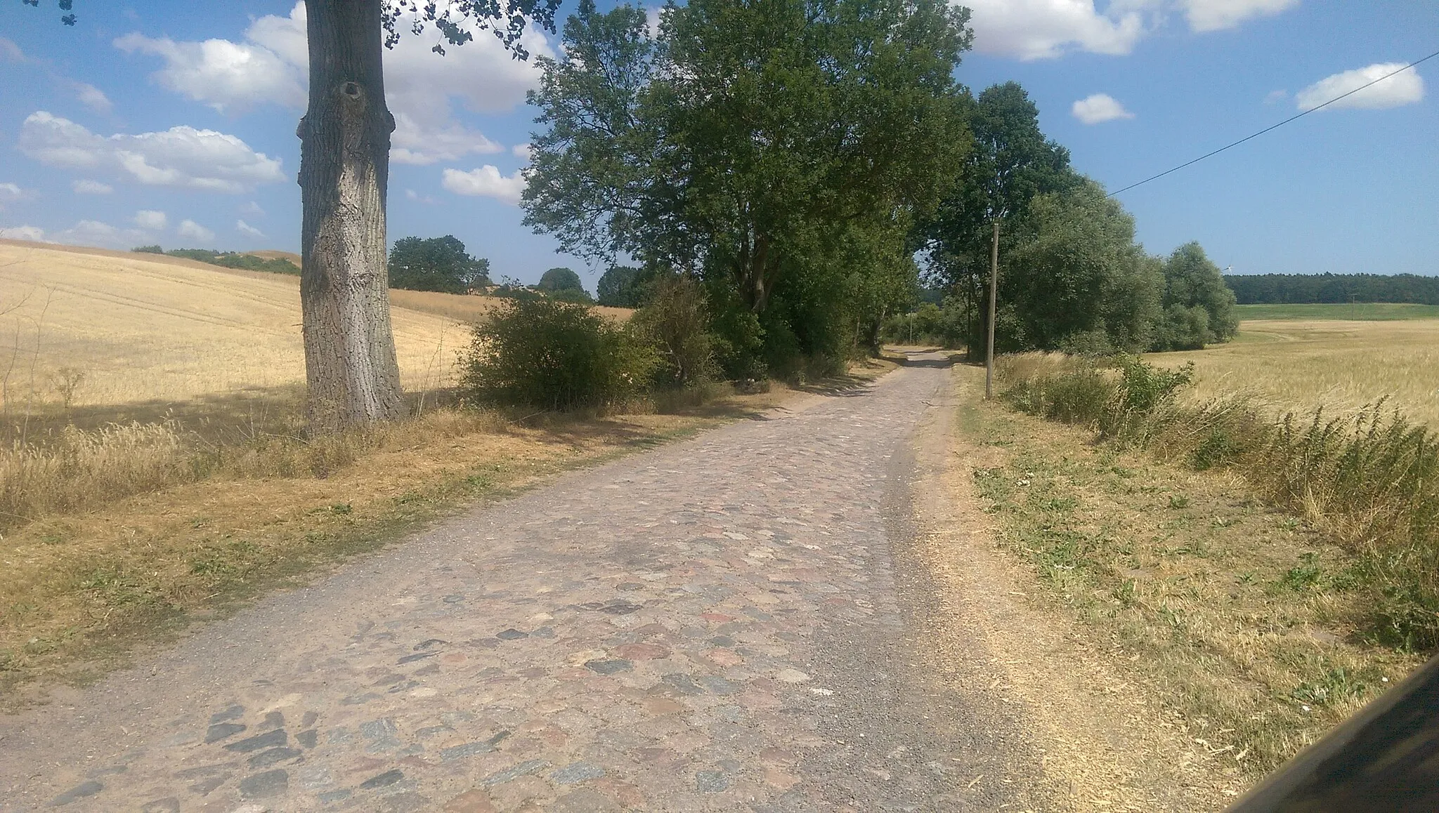 Photo showing: View of the Brandenburg state road 151 north-east of Berkholz , Boitzenburger Land municipality , Uckermark district, Brandenburg state, Germany