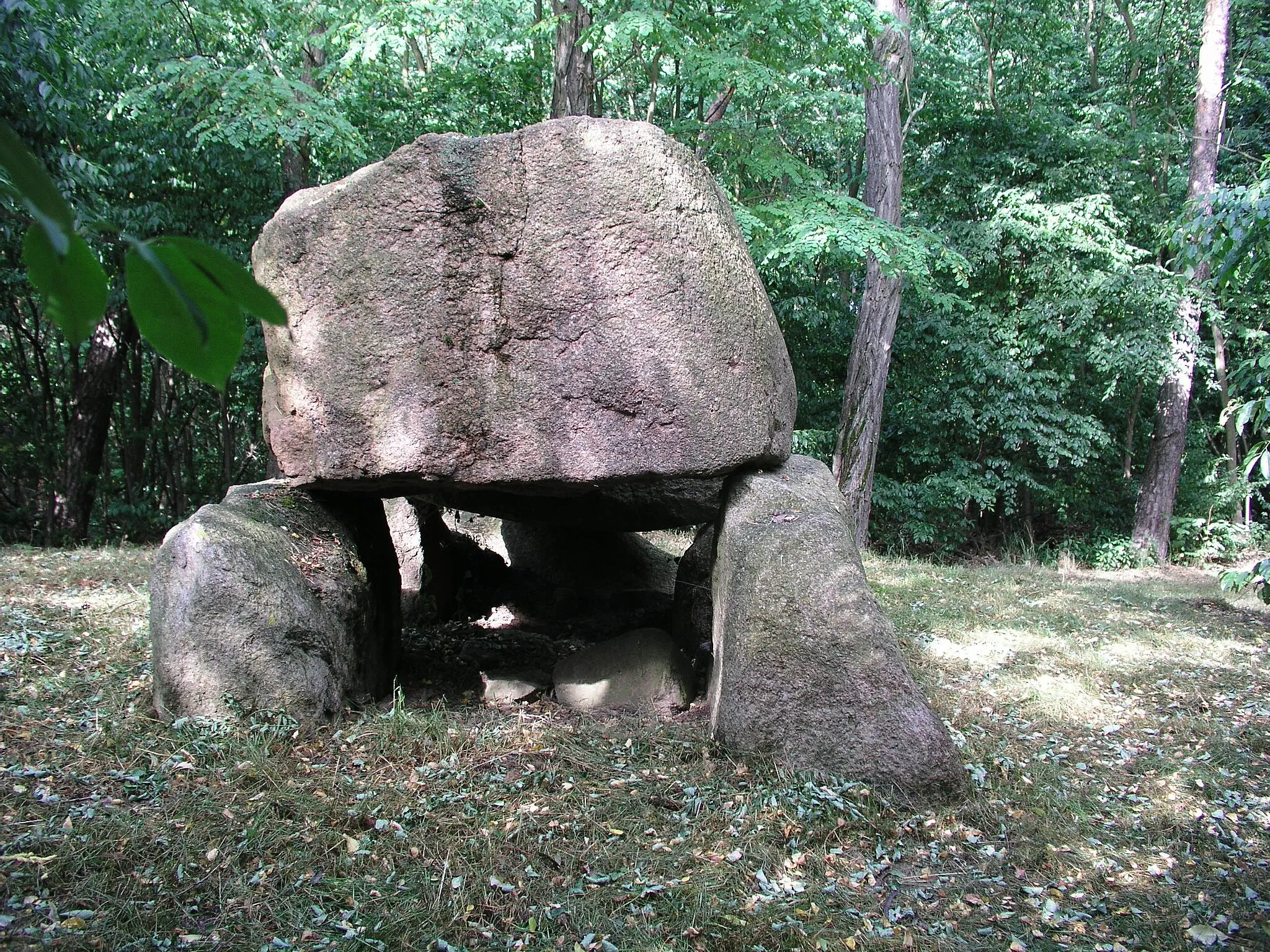 Photo showing: Erweiterter Dolmen, Megalithgrab, Großsteingrab, Hühnengrab der jungsteinzeitlichen Trichterbecherkultur in Brandenburg