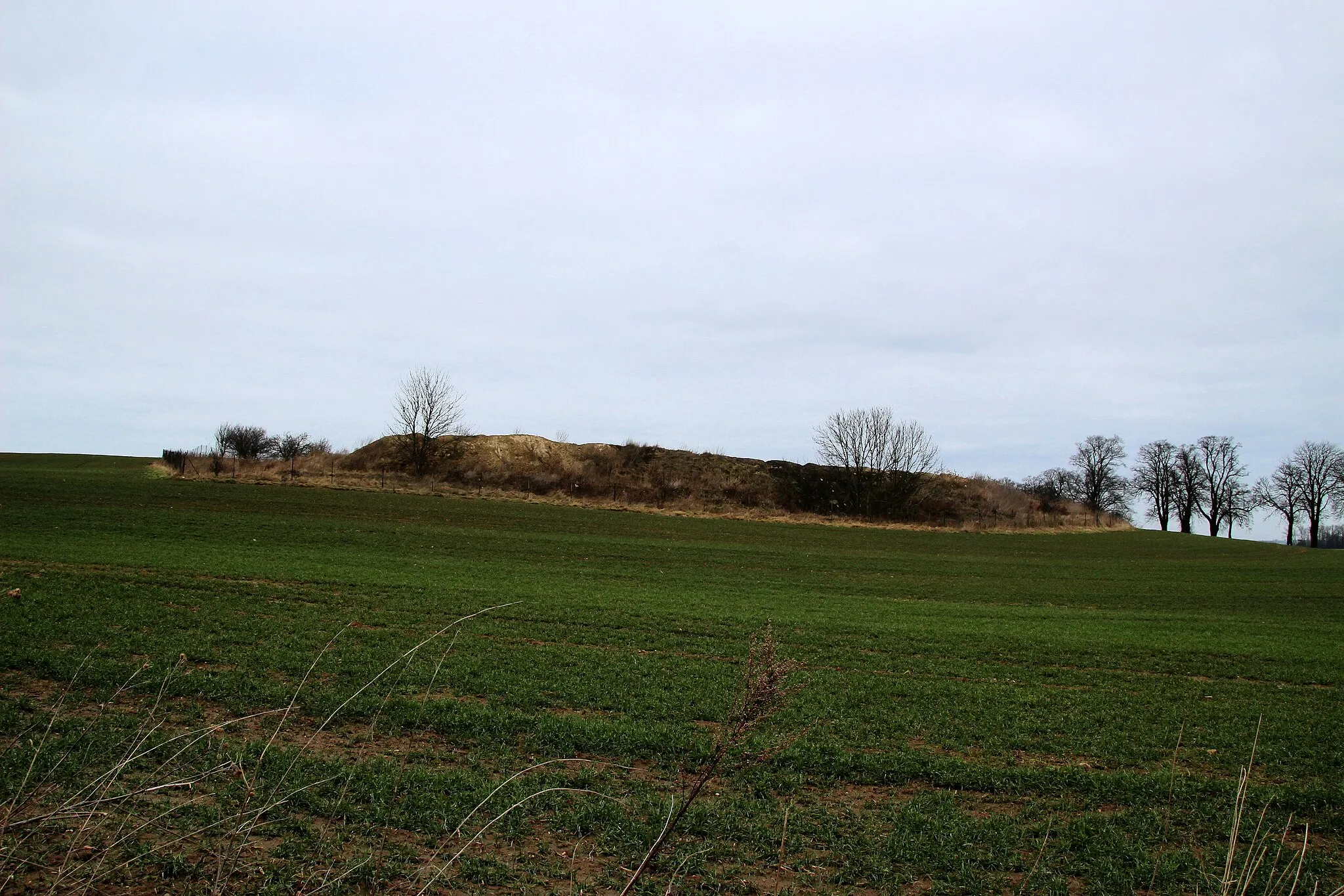 Photo showing: Ansicht der Bergkuppe von Süden