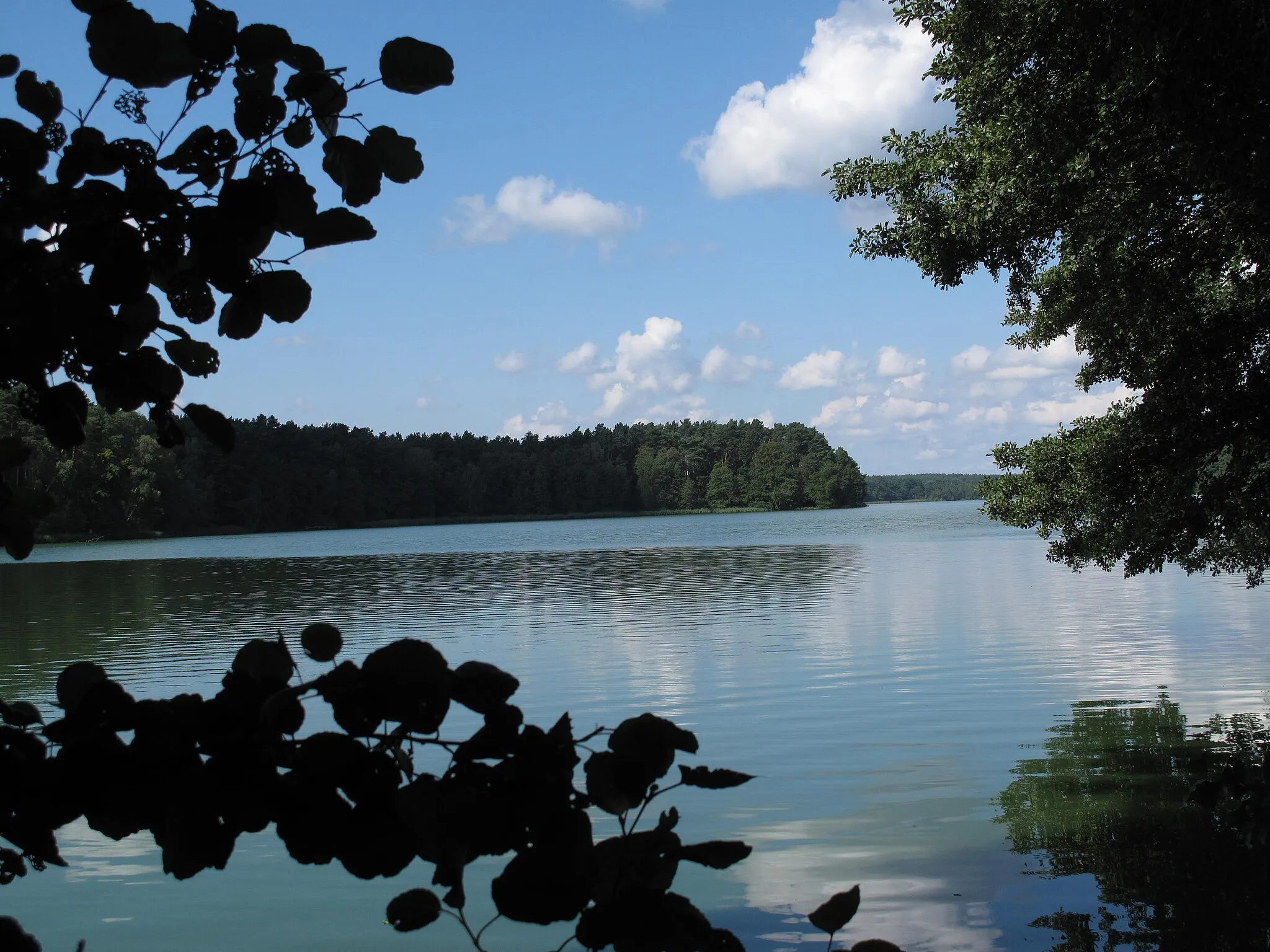 Photo showing: The Oelsener See is a lake in the District Oder-Spree, Brandenburg, Germany. The lake covers 0,94 km² and is situated in the Schlaube Valley Nature Park.