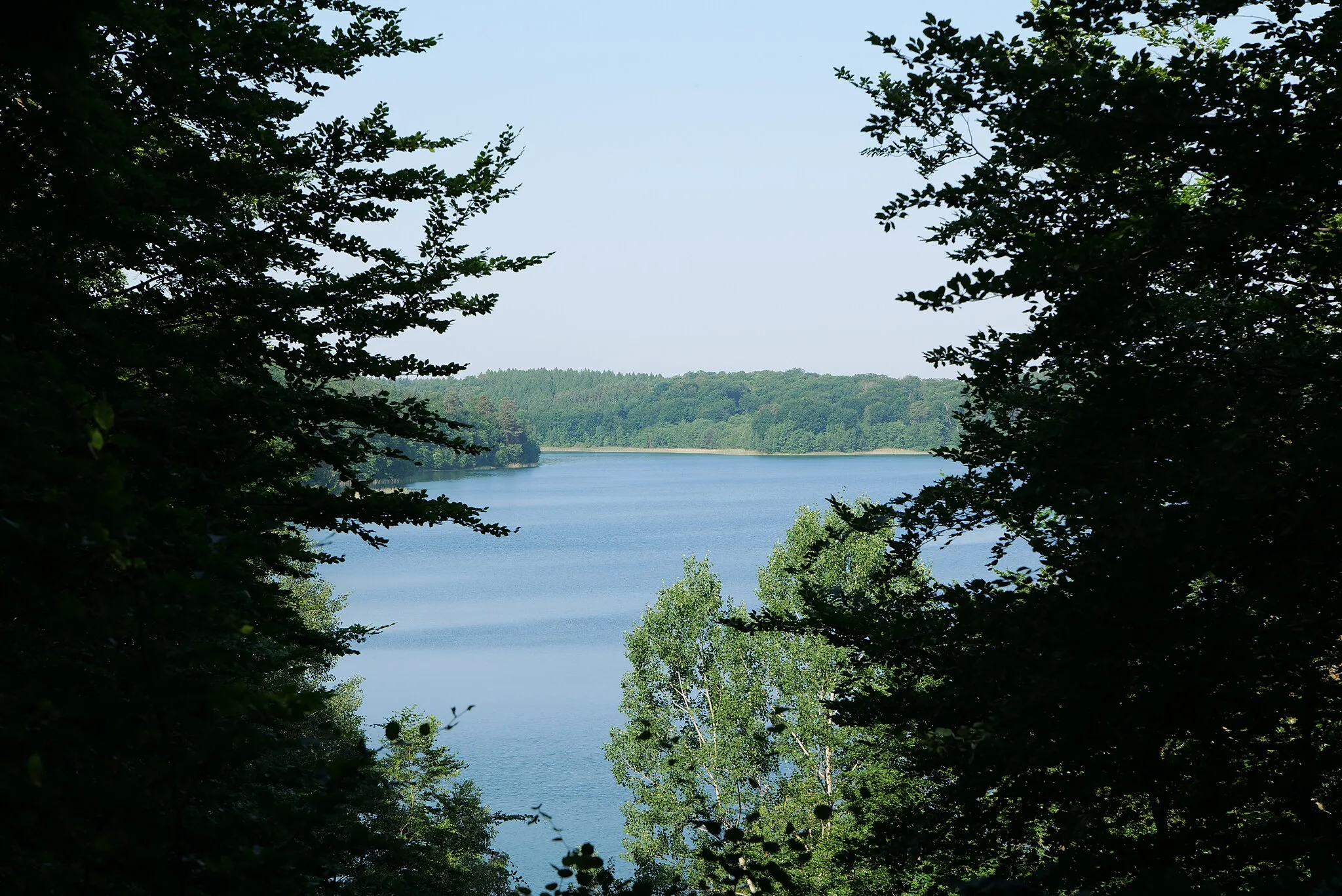 Photo showing: Peetschsee im NSG Stechlin in Fürstenberg/Havel, Brandenburg.