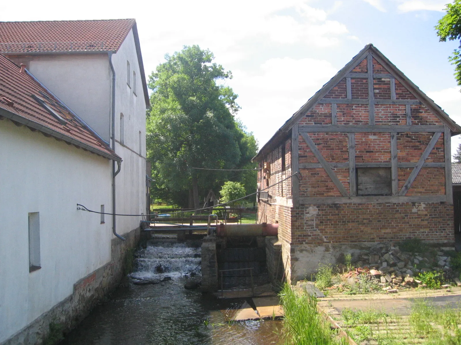 Photo showing: Ruhland, Mühlenstraße 1 (Ortsteil Arnsdorf), Blick auf Sängerlinde 6 Jahre nach der Pflanzung durch den Männergesangsverein 1883 Arnsdorf.