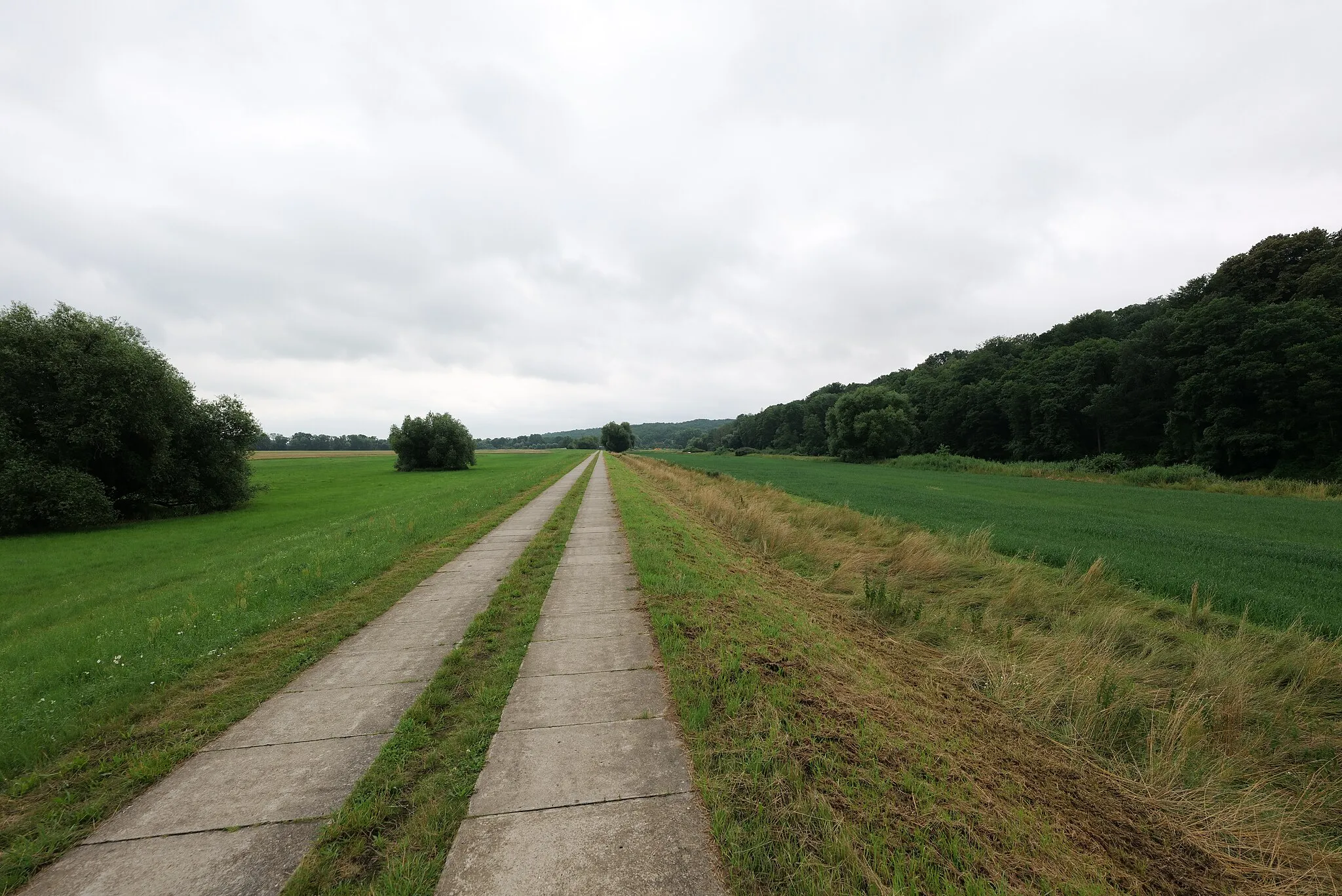 Photo showing: Südlicher Teil des Unteren Odertals außerhalb des Nationalparks.