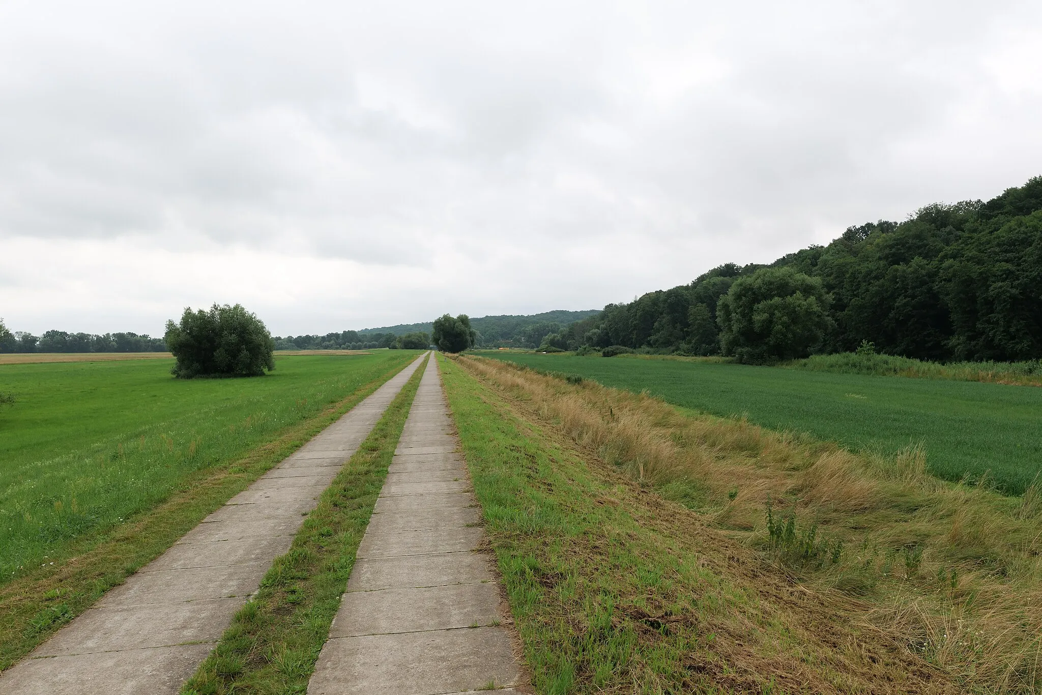 Photo showing: Südlicher Teil des Unteren Odertals außerhalb des Nationalparks.